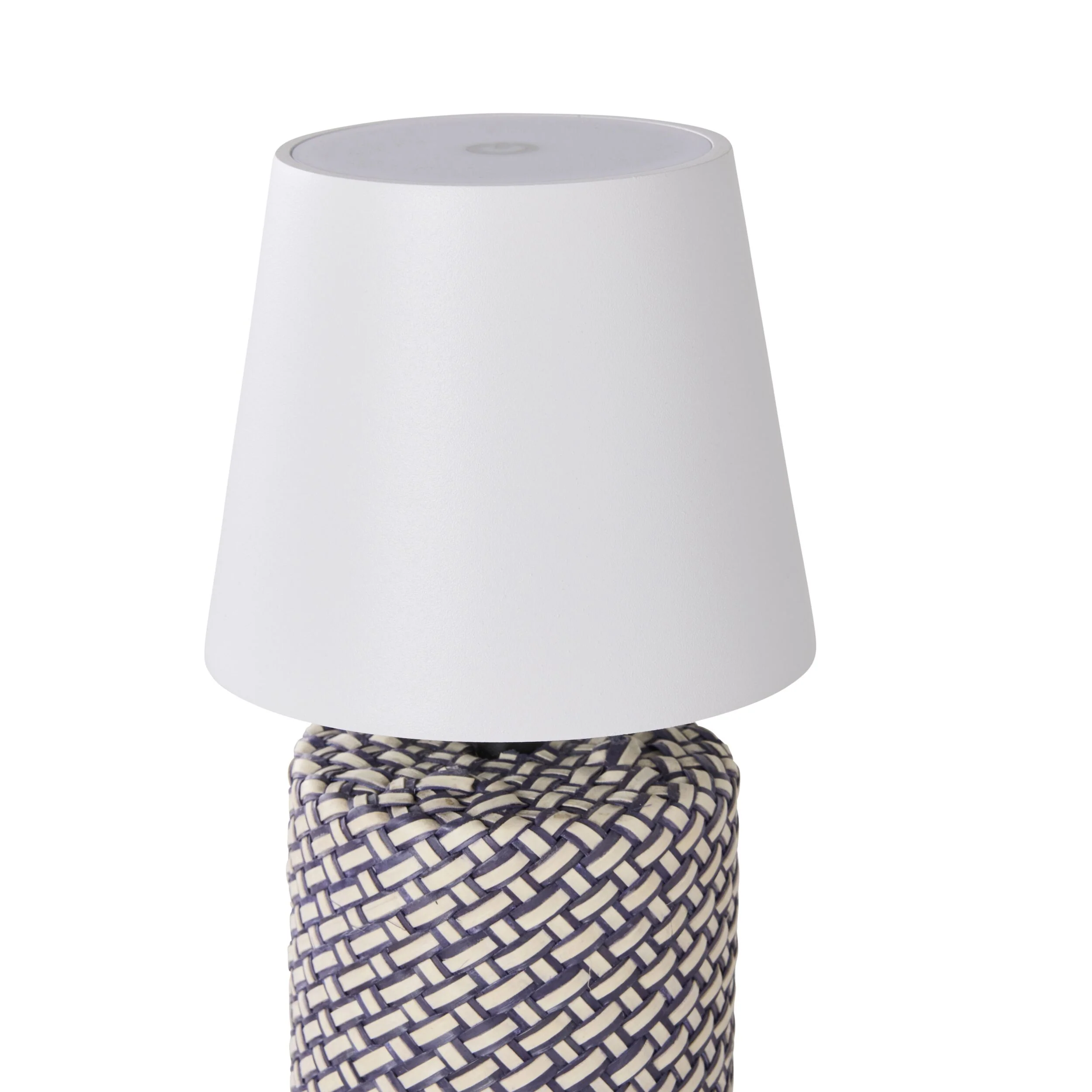 Alexa Palm Leaf Portable Lamp with LED 29cm - Image 3