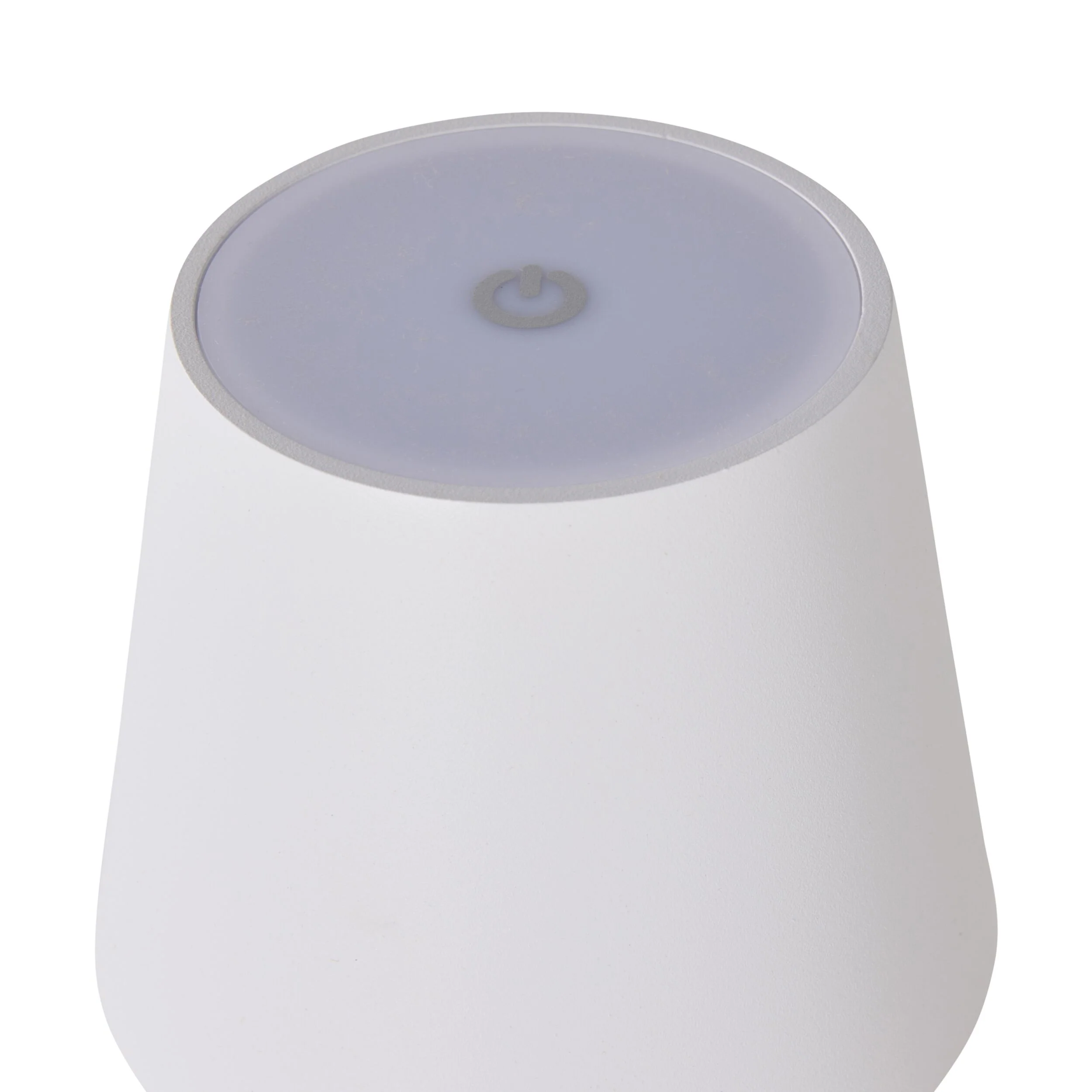 Alexa Palm Leaf Portable Lamp with LED 29cm - Image 5
