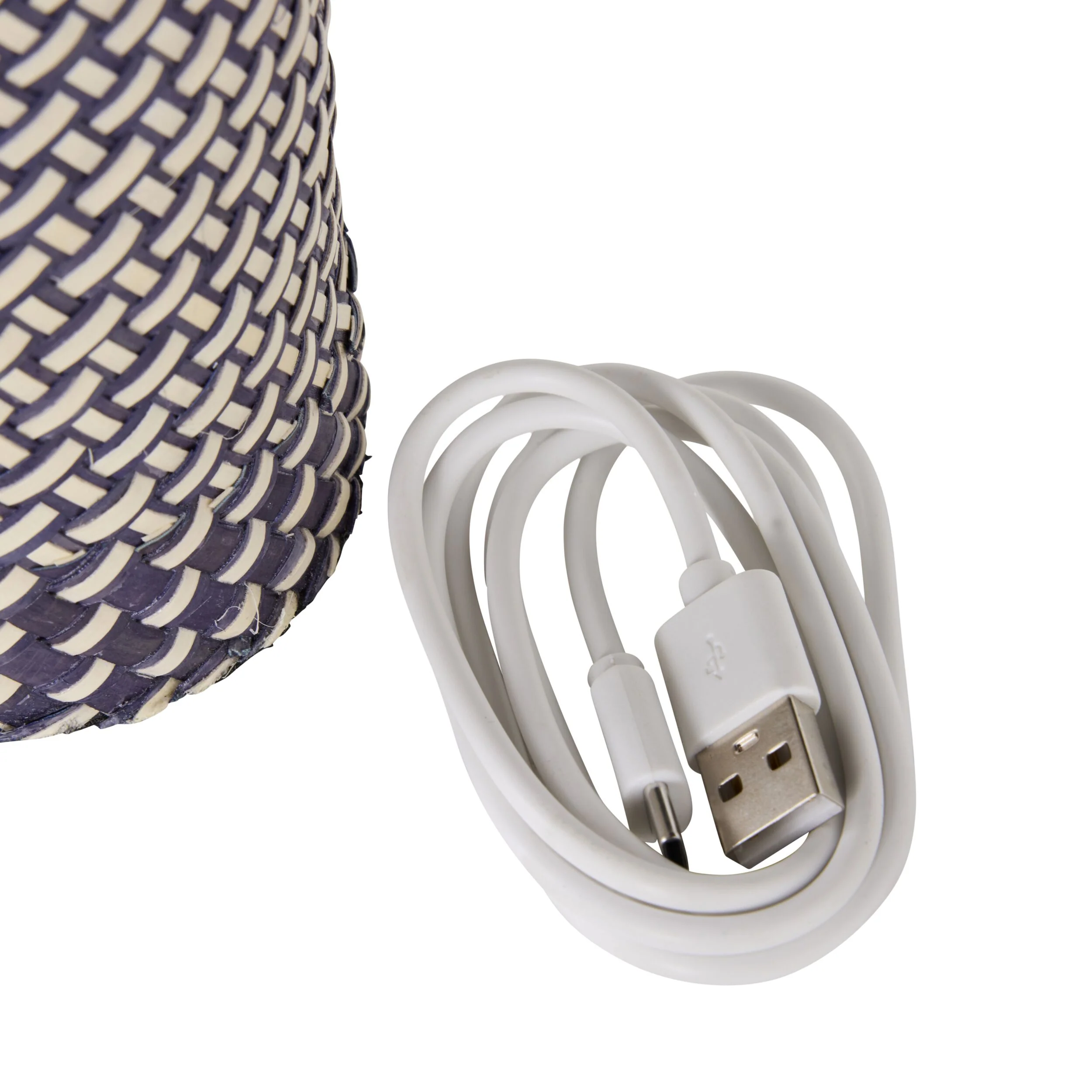 Alexa Palm Leaf Portable Lamp with LED 29cm - Image 6