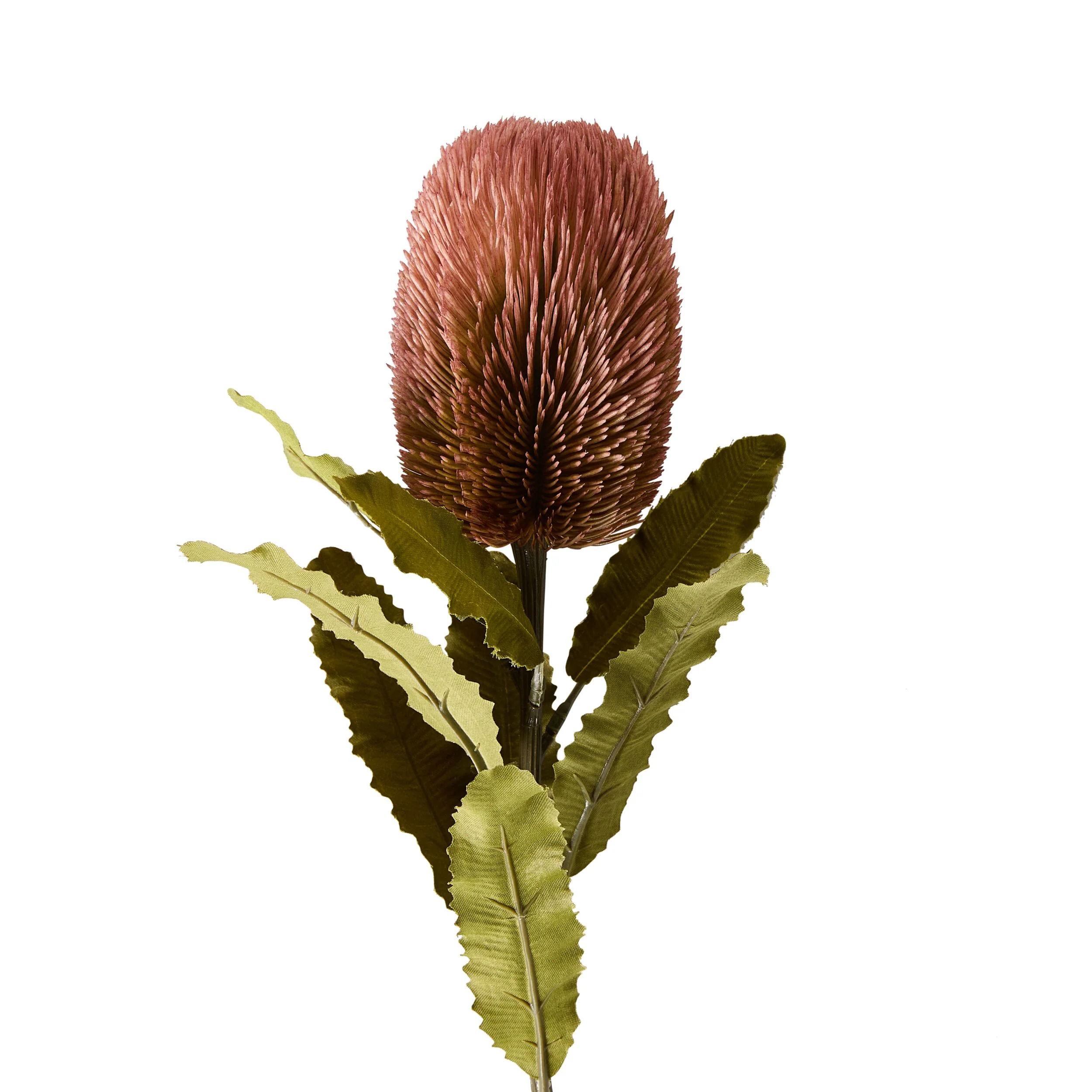 Bloomery Banksia Stem Pink 65cm - Image 2