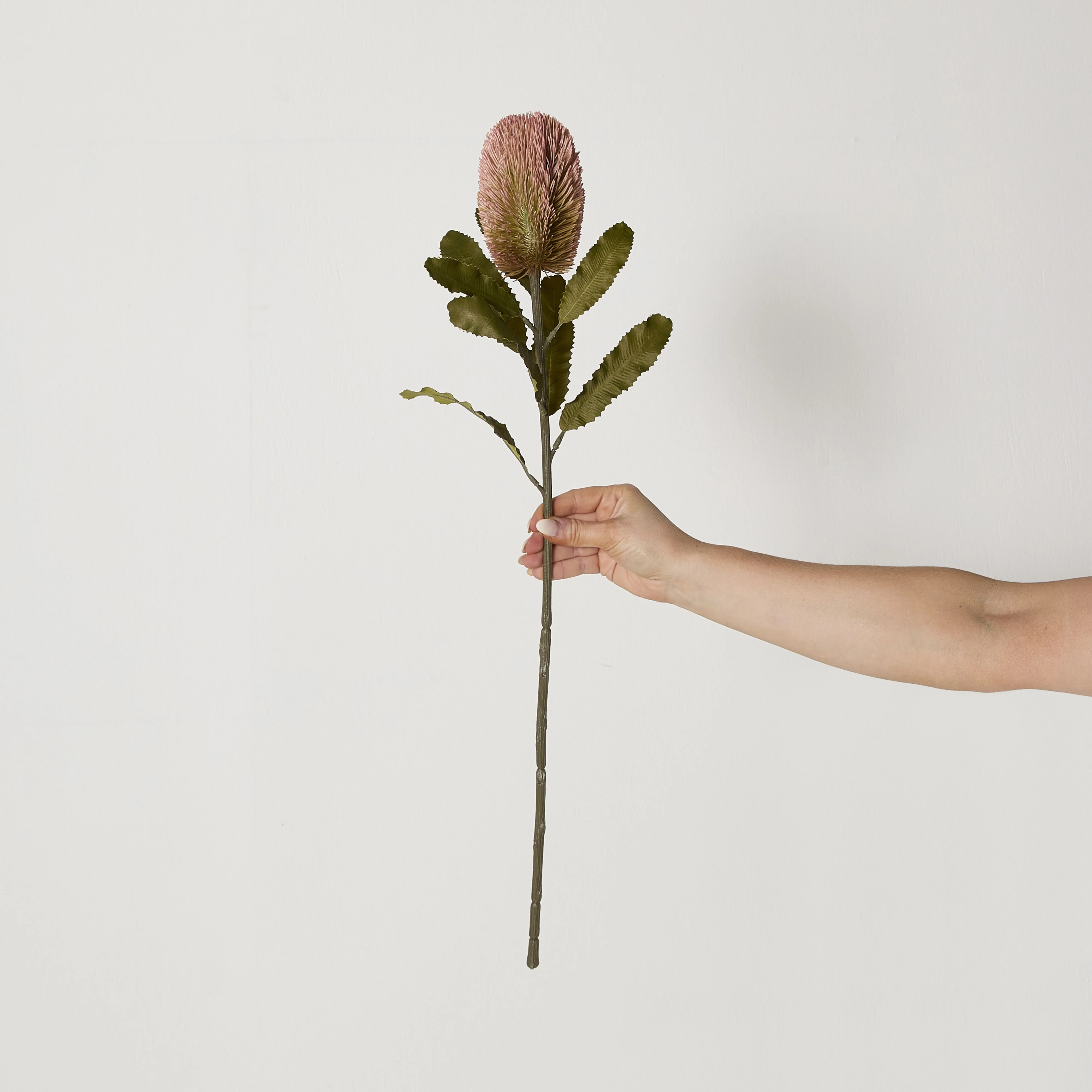 Bloomery Banksia Stem Pink 65cm - Image 4