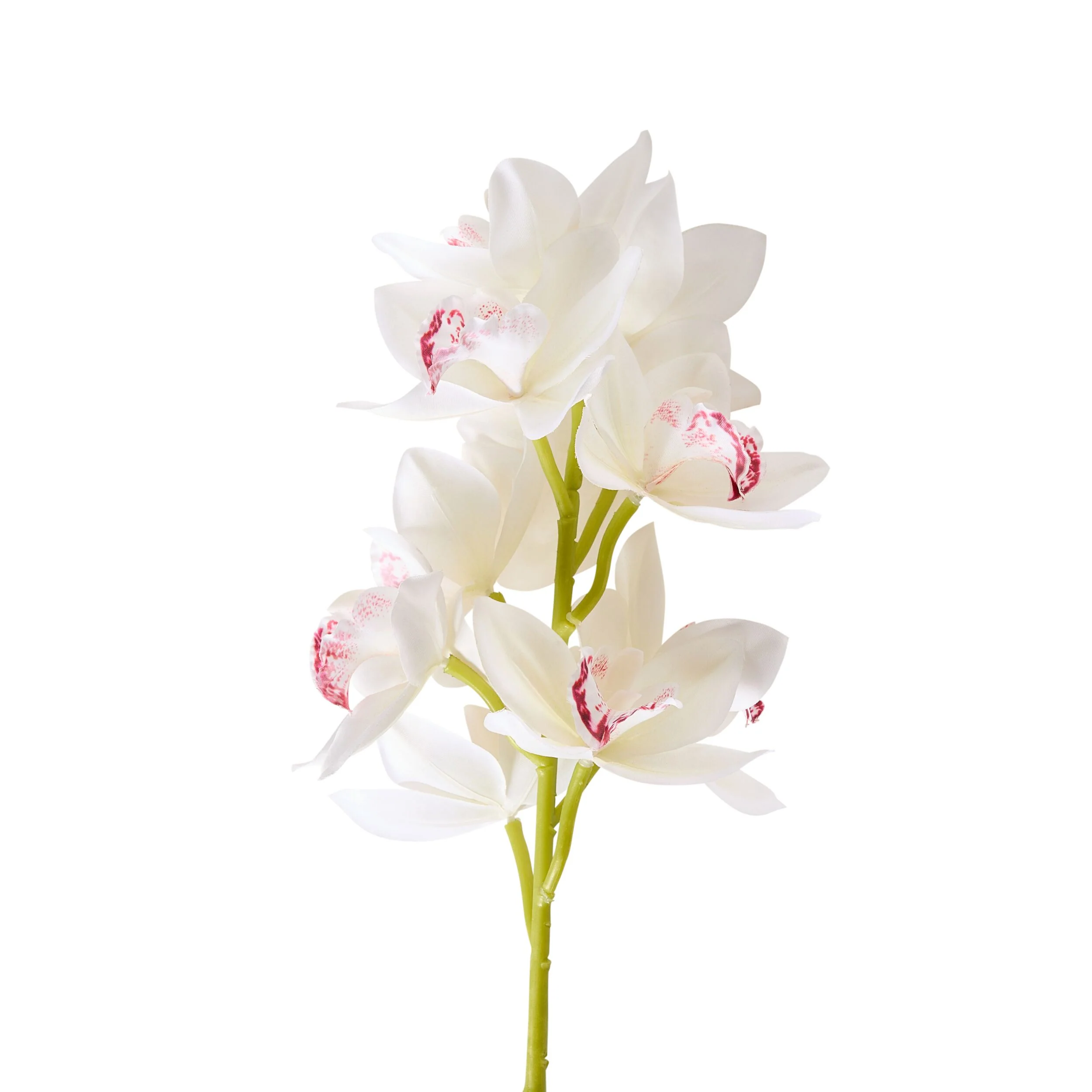 Bloomery Boat Orchid Stem White 63cm - Image 2