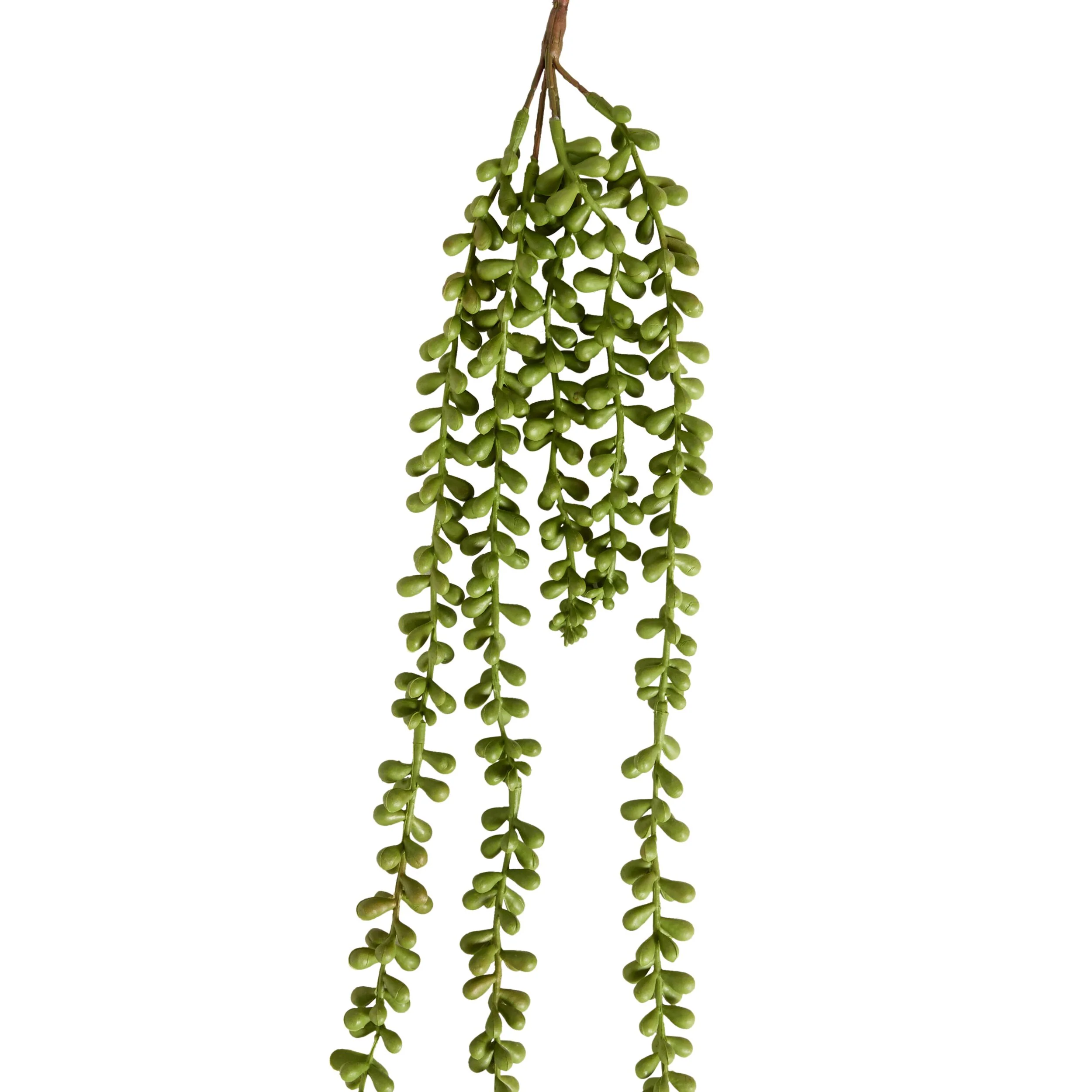 Bloomery Cascading Succulent Stem 71cm - Image 2