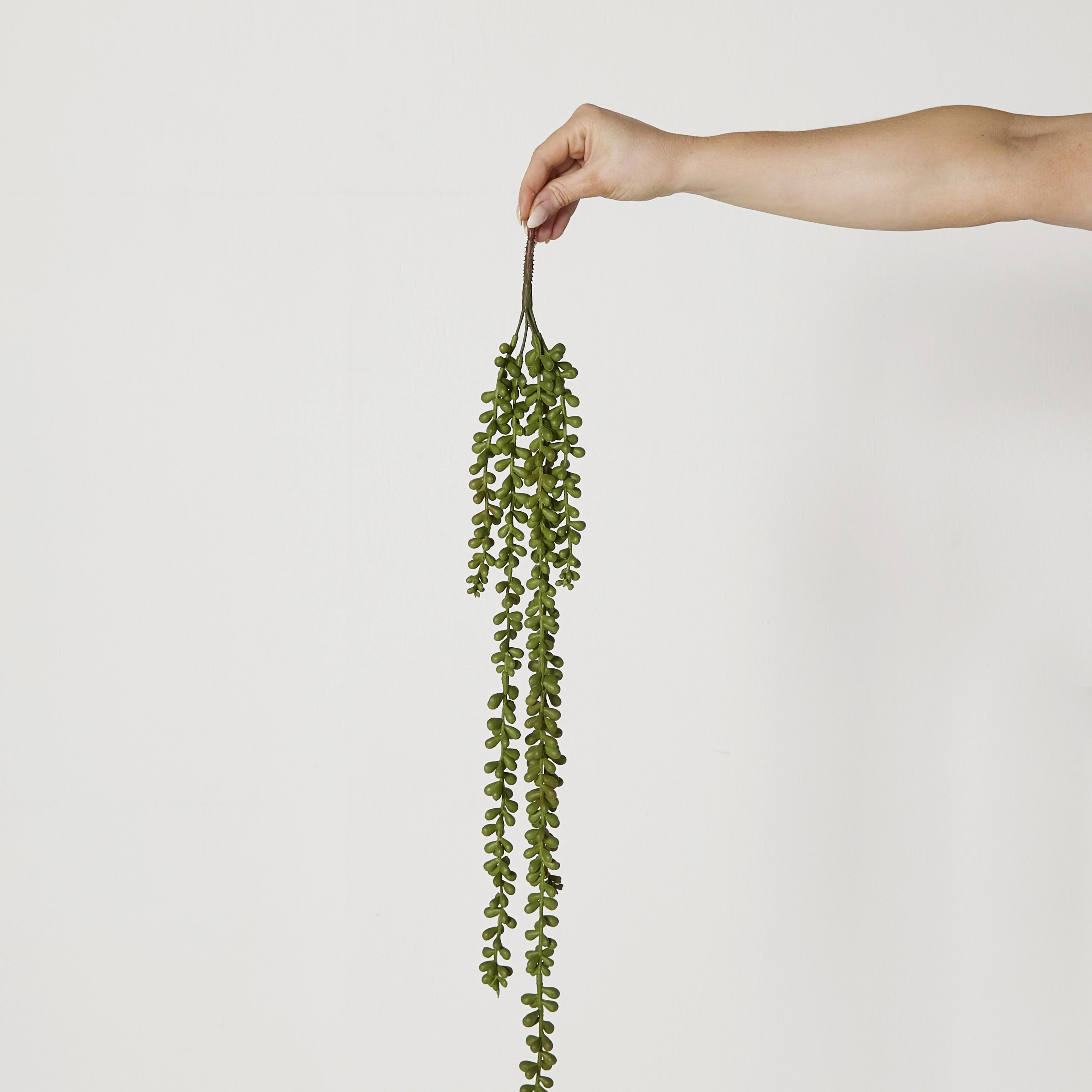 Bloomery Cascading Succulent Stem 71cm - Image 4
