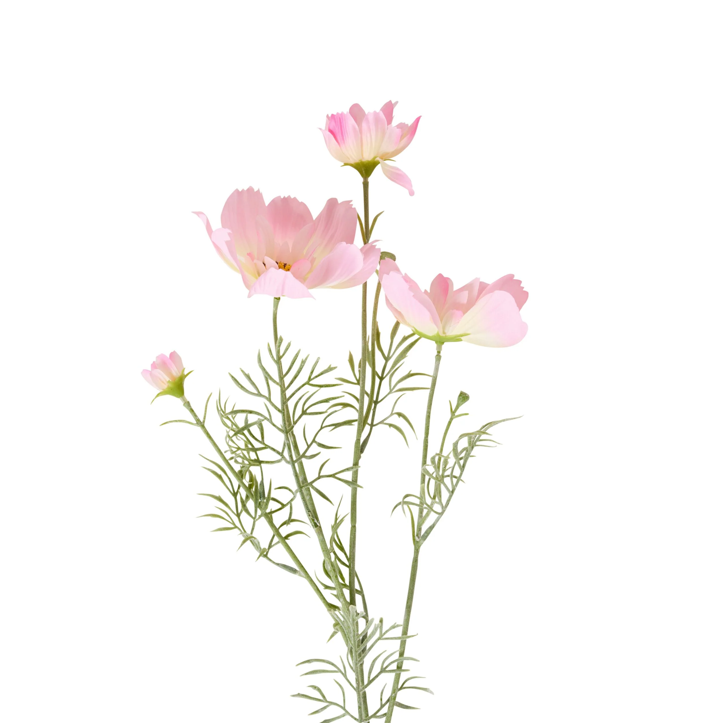 Bloomery Cosmos Stem Soft Pink 76cm - Image 2