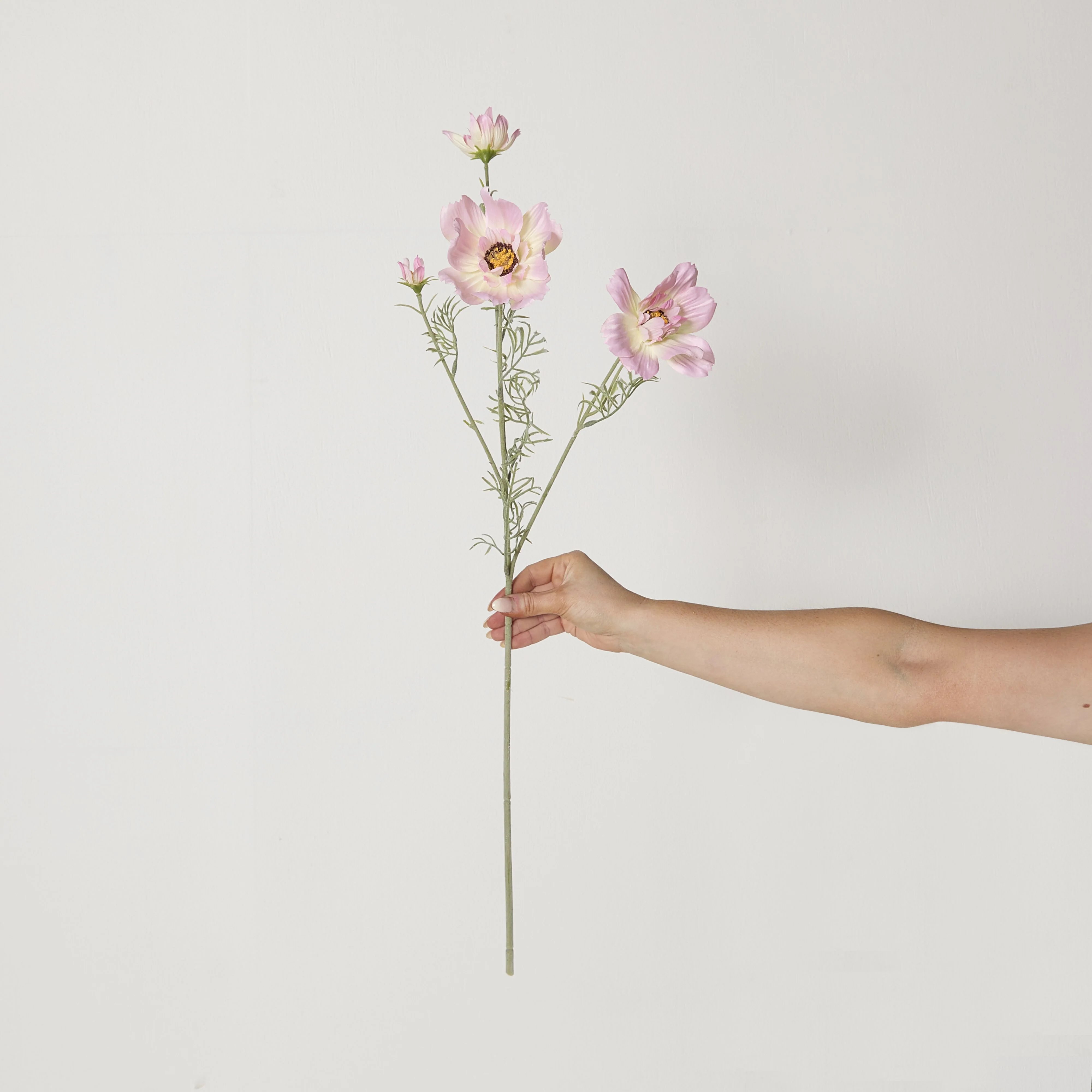 Bloomery Cosmos Stem Soft Pink 76cm - Image 4