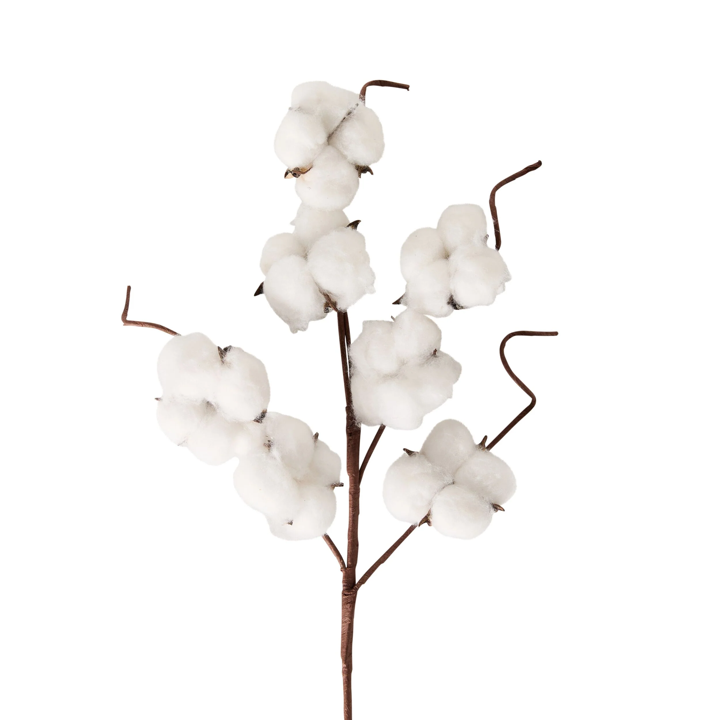 Bloomery Cotton Stem 43cm - Image 2