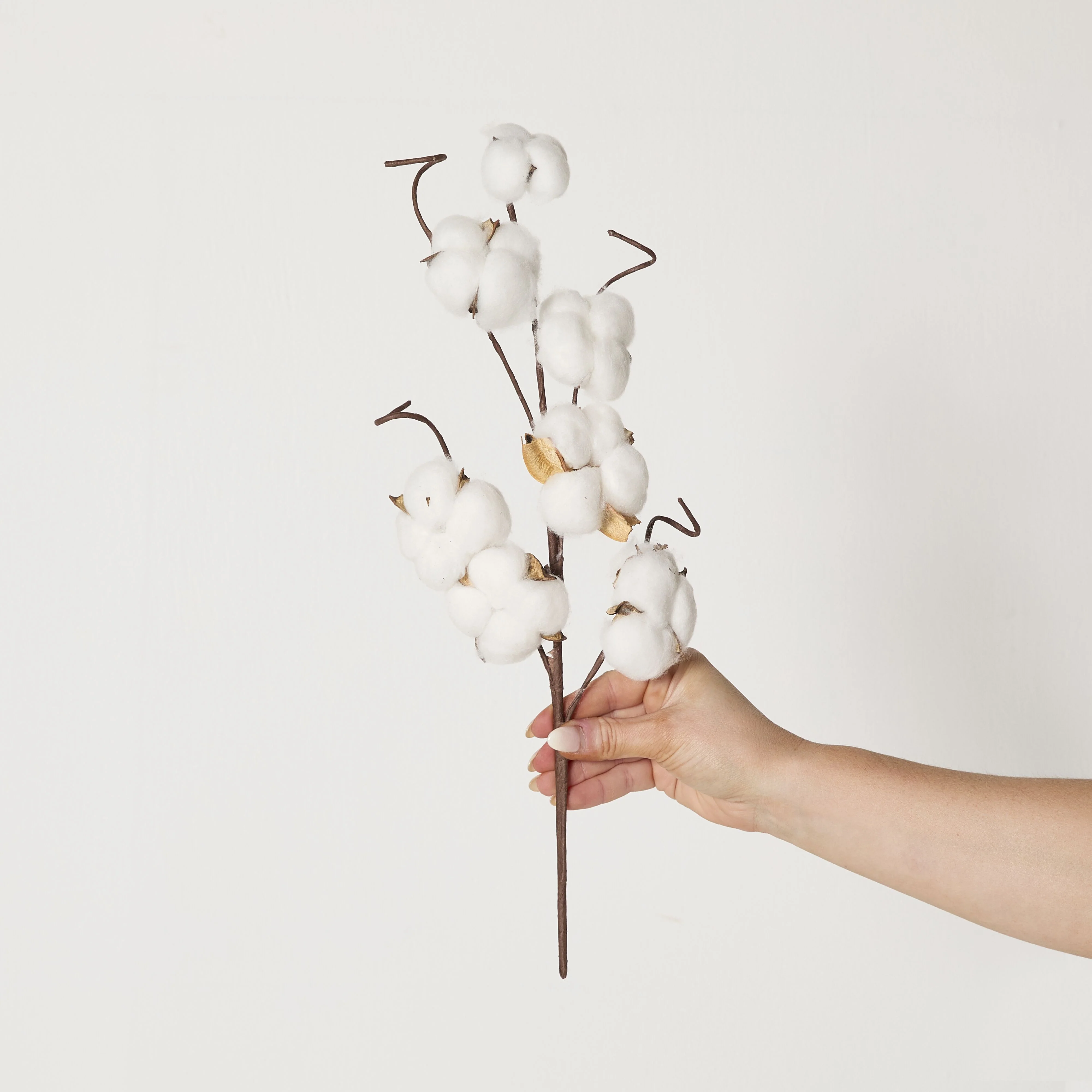 Bloomery Cotton Stem 43cm - Image 4