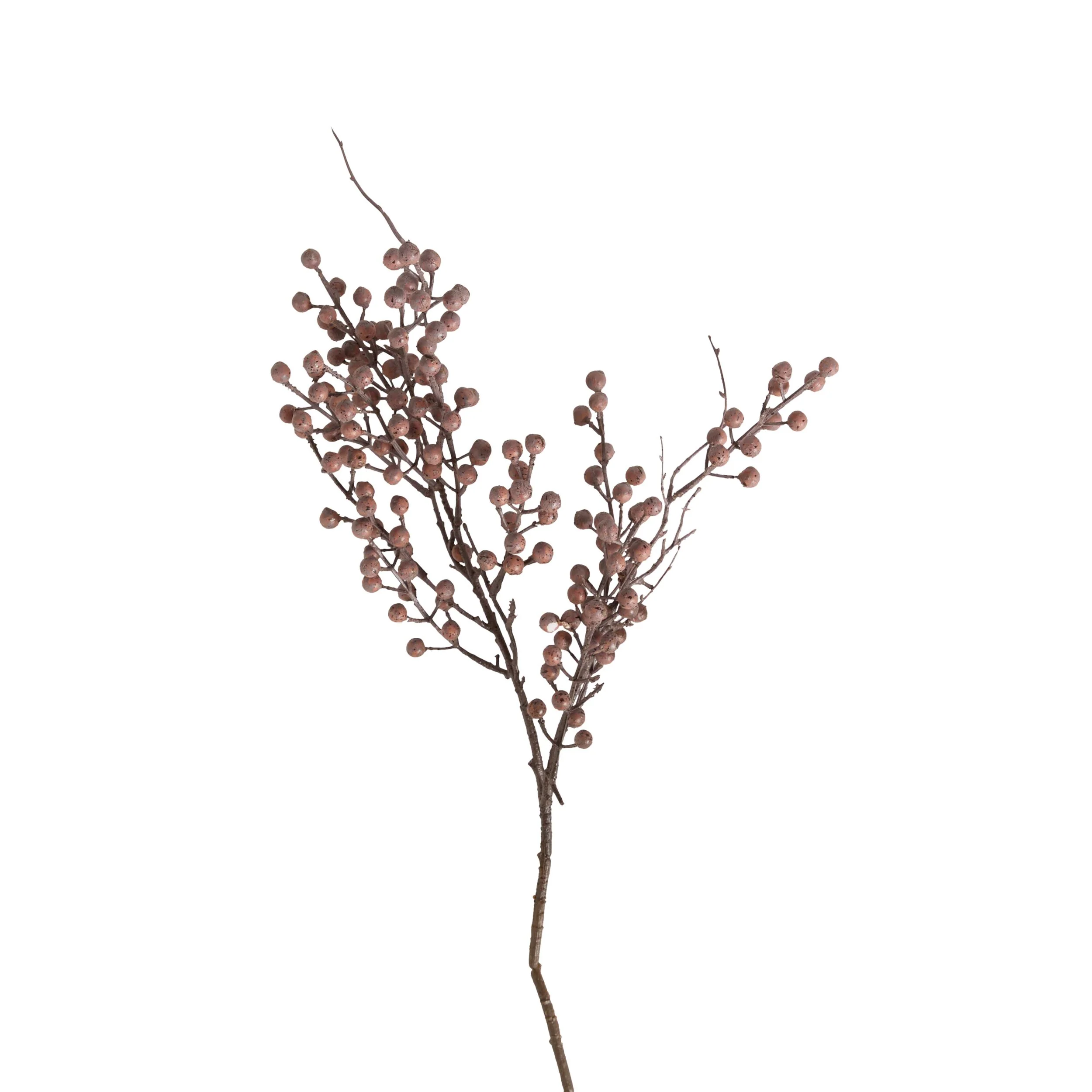 Bloomery Dried Eucalyptus Pod Stem 74cm - Image 2