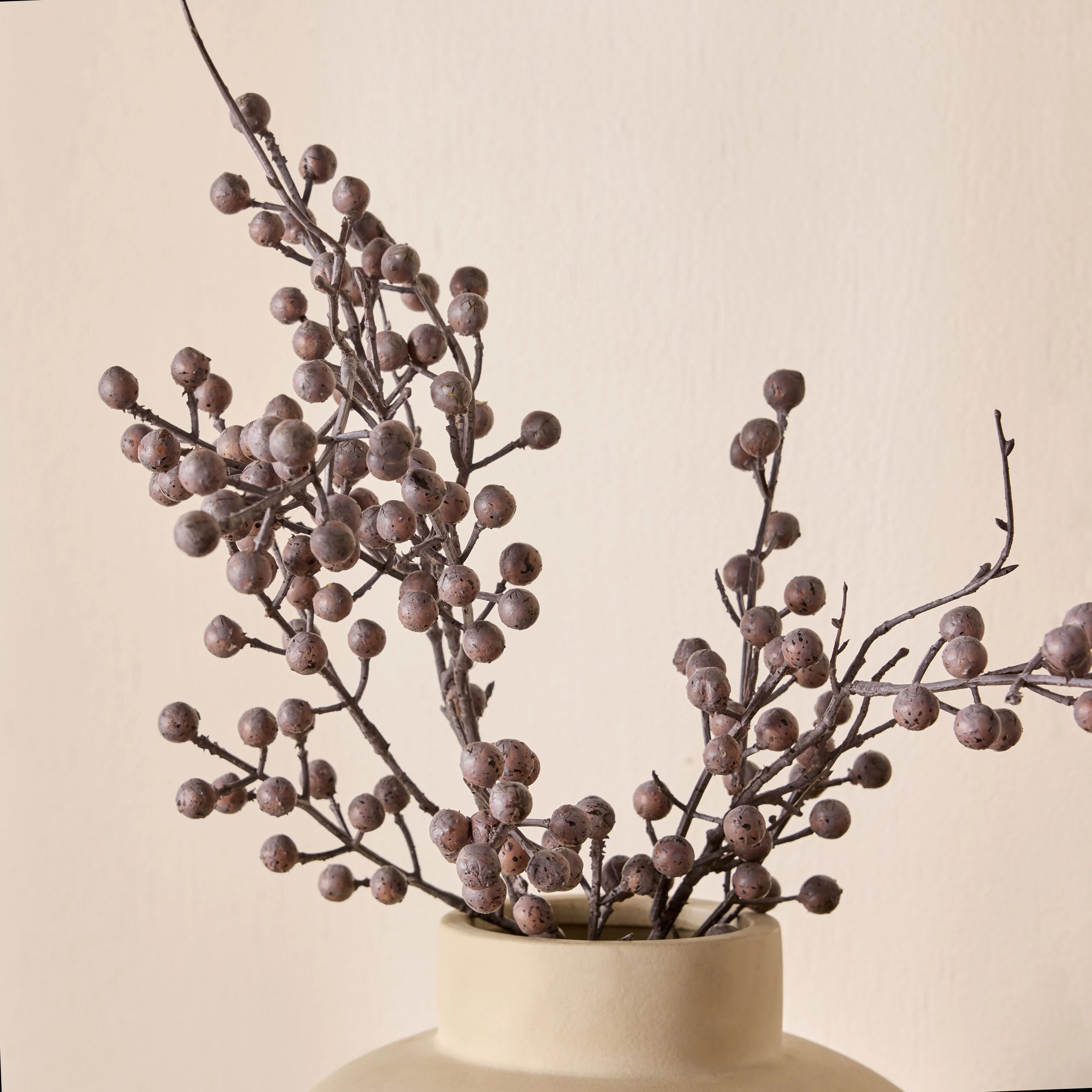 Bloomery Dried Eucalyptus Pod Stem 74cm - Image 4