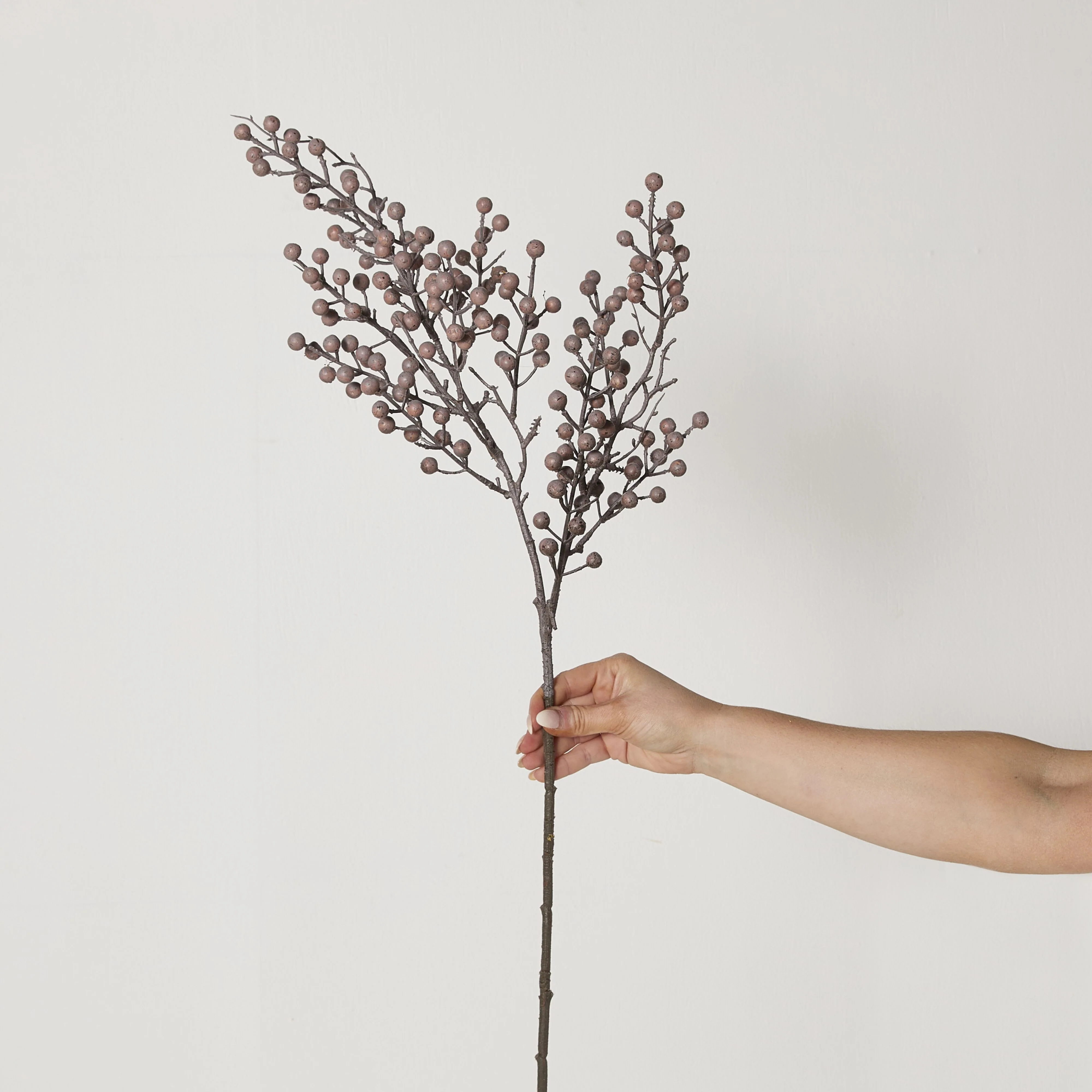 Bloomery Dried Eucalyptus Pod Stem 74cm - Image 5