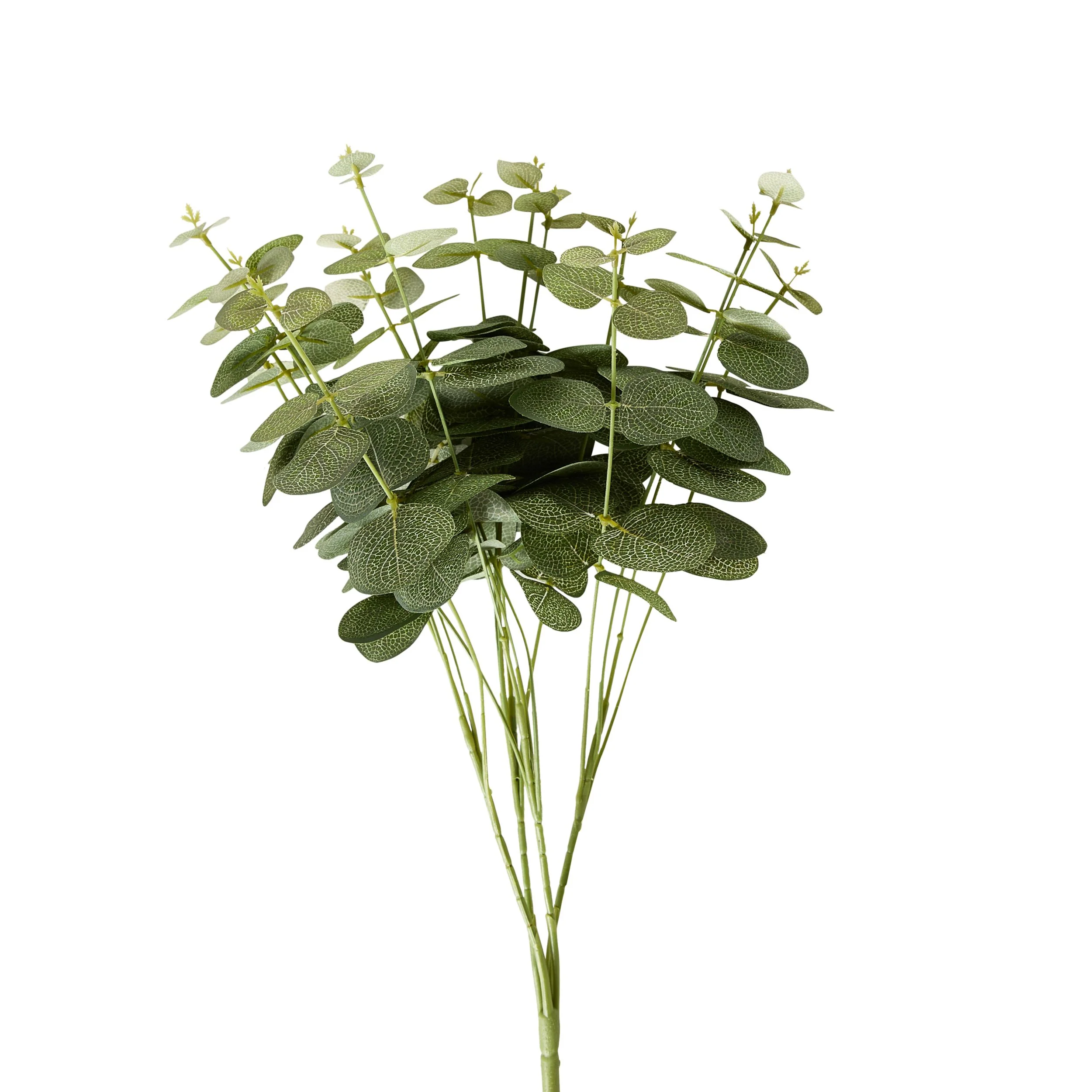 Bloomery Eucalyptus Stem 46cm - Image 2