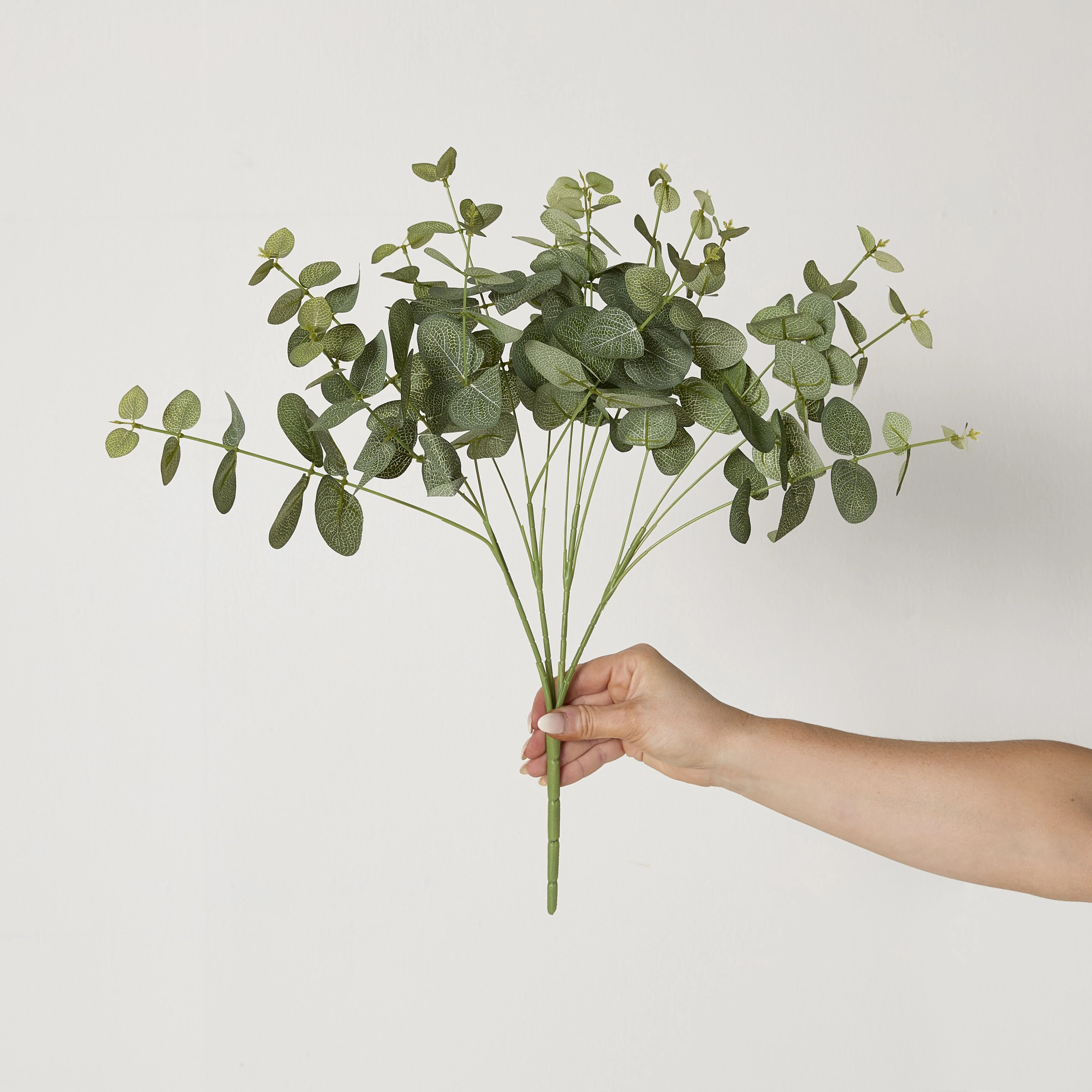 Bloomery Eucalyptus Stem 46cm - Image 4