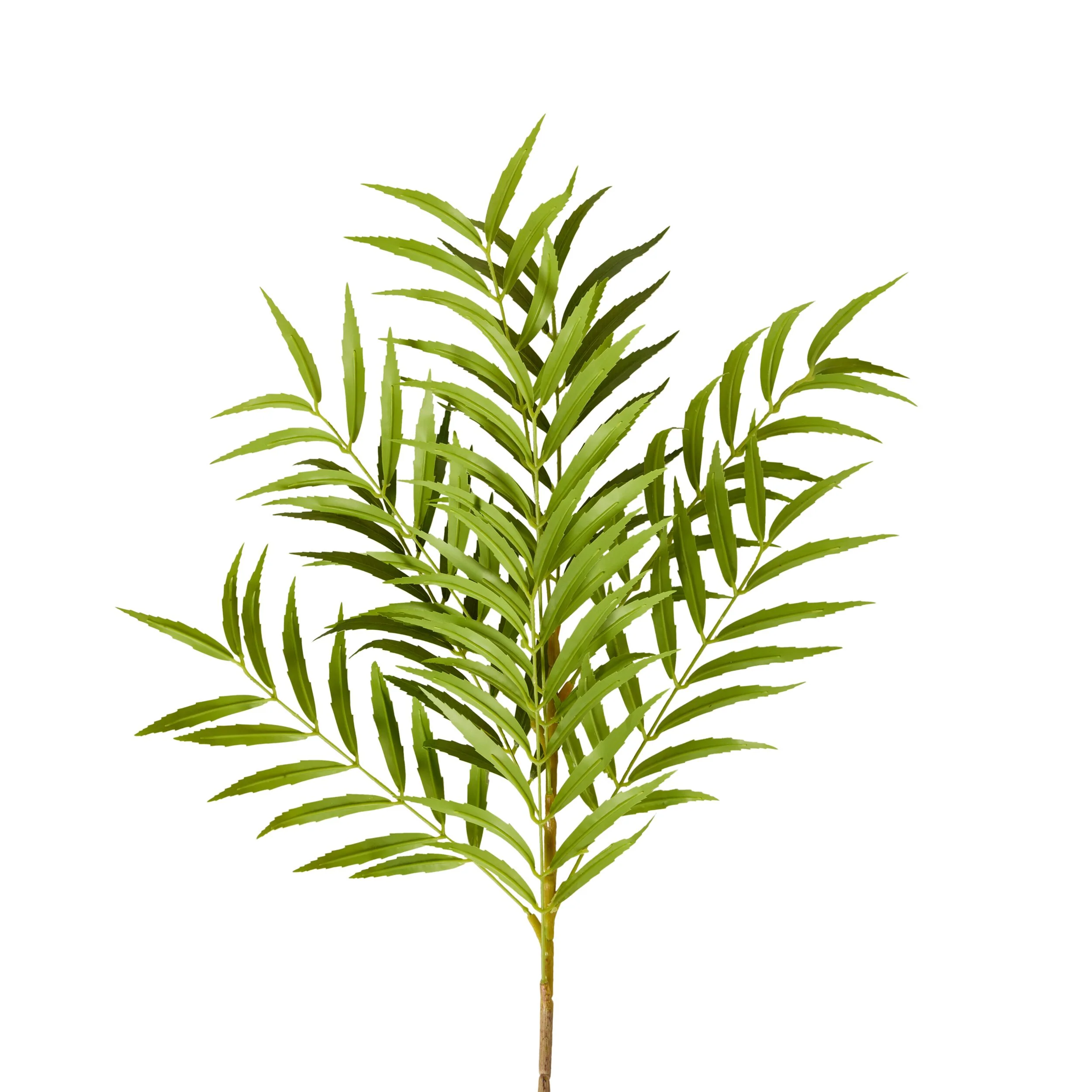 Bloomery Fern Palm Stem 99cm - Image 2