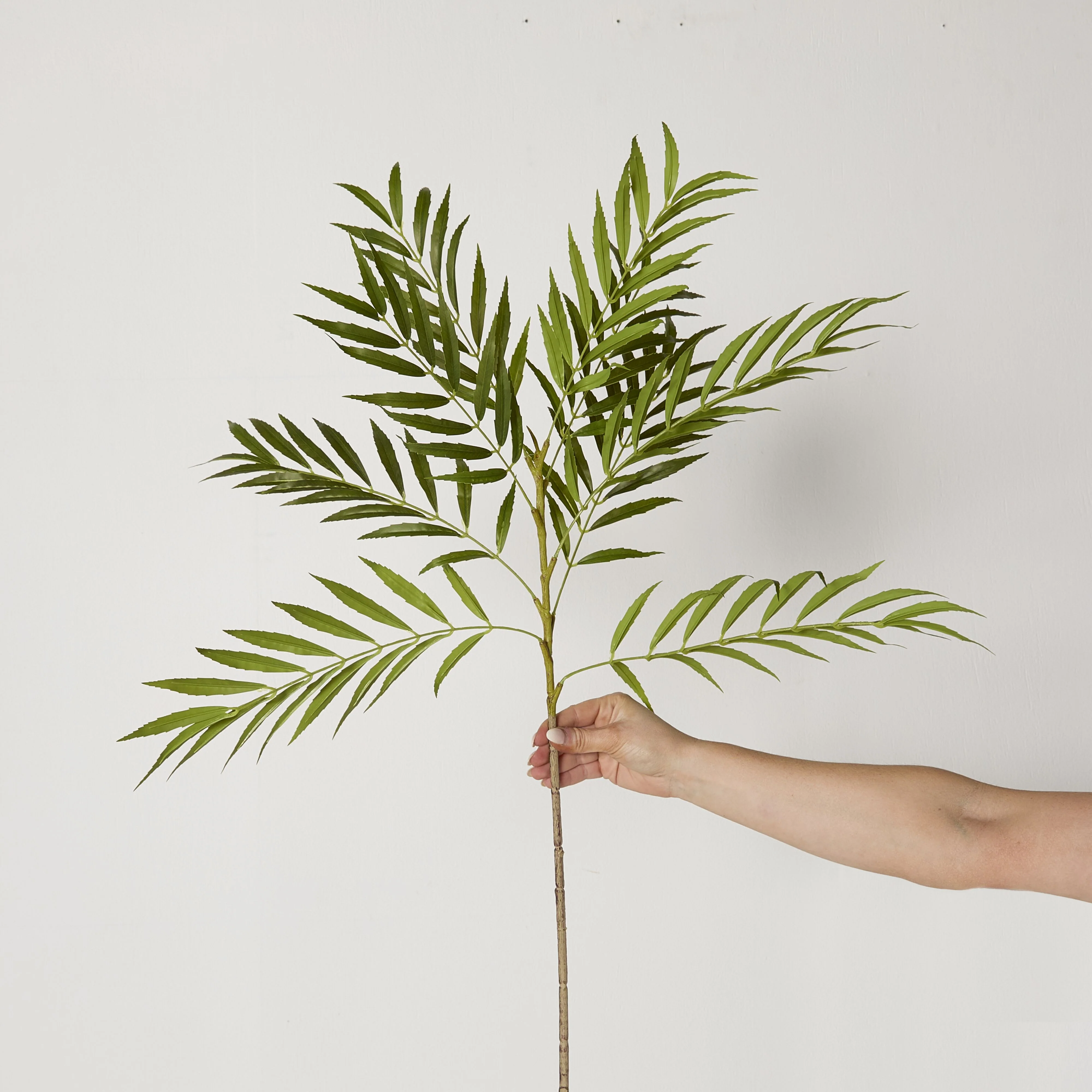 Bloomery Fern Palm Stem 99cm - Image 4