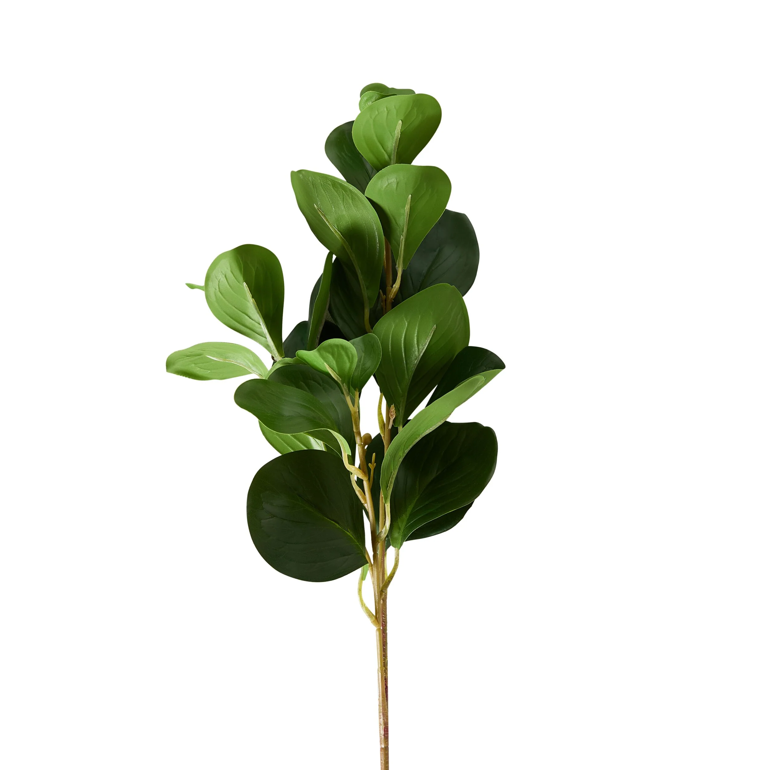 Bloomery Ficus Leaf Stem 68cm - Image 2
