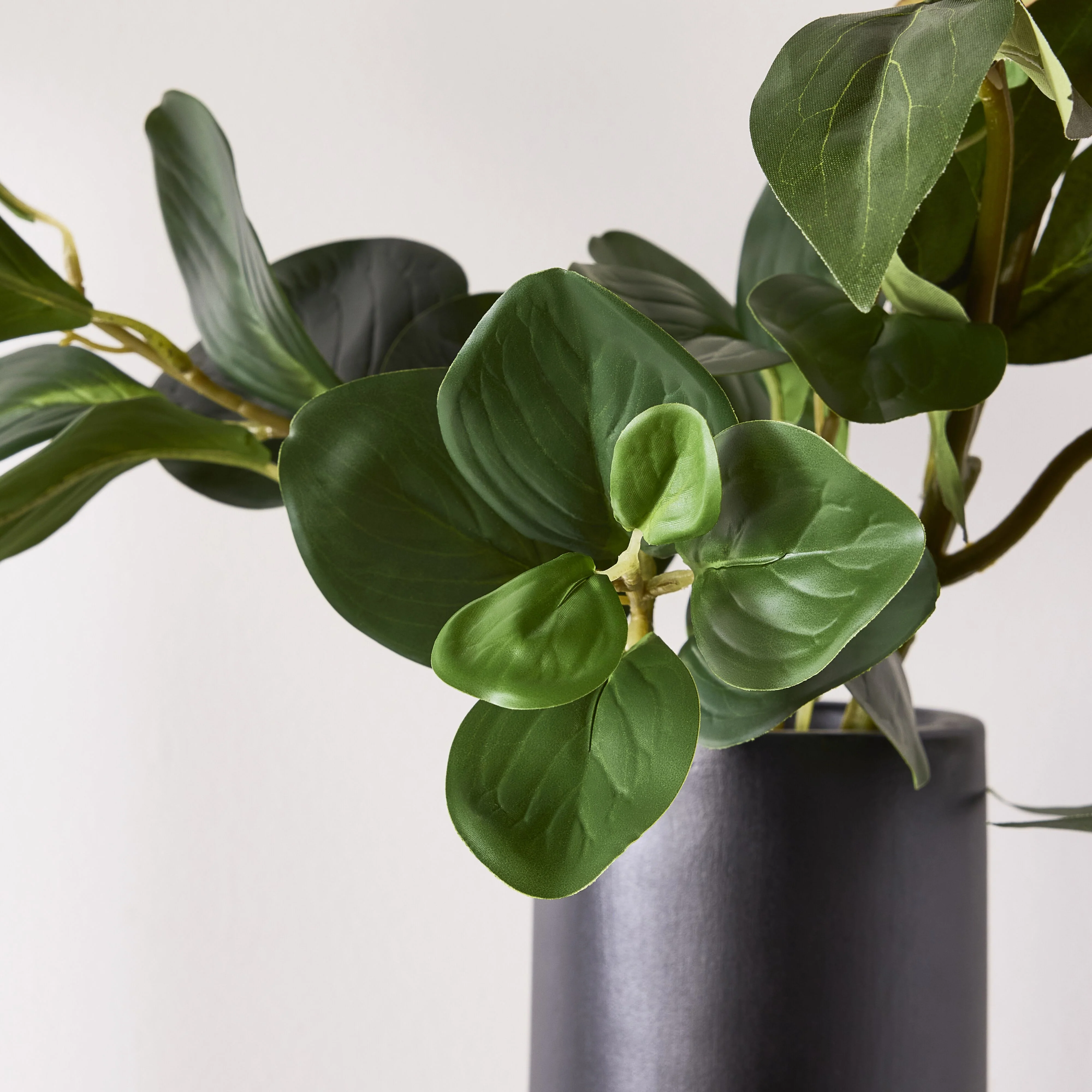 Bloomery Ficus Leaf Stem 68cm - Image 4