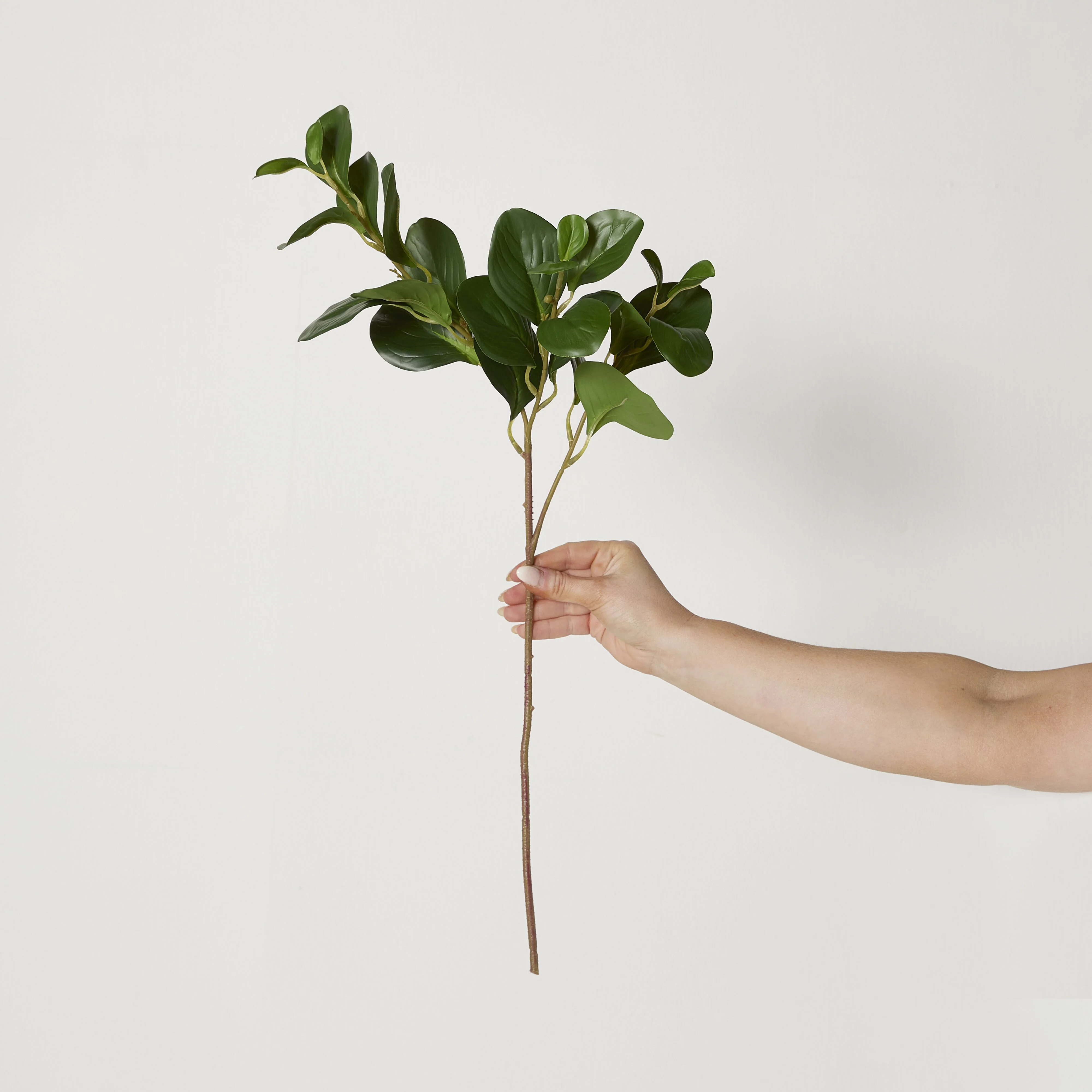 Bloomery Ficus Leaf Stem 68cm - Image 5