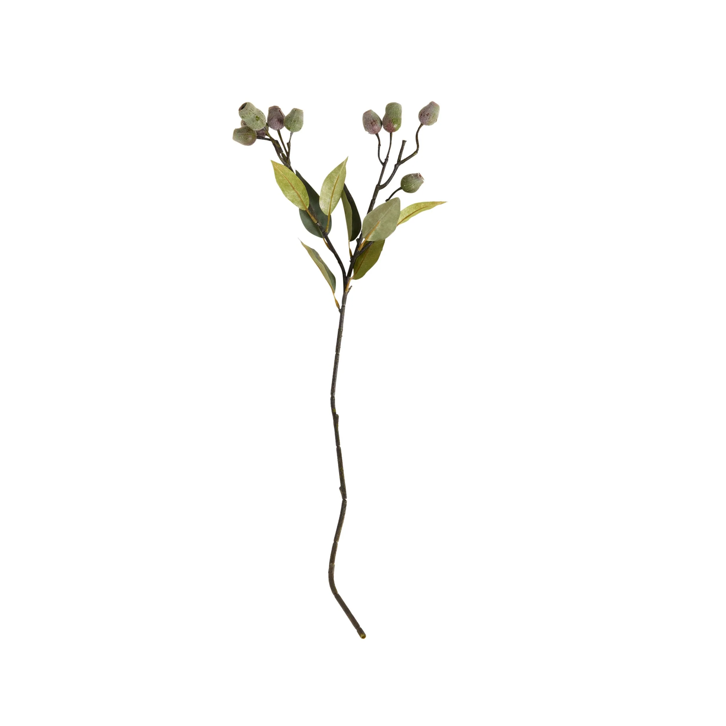 Bloomery Gumnut Stem 73cm