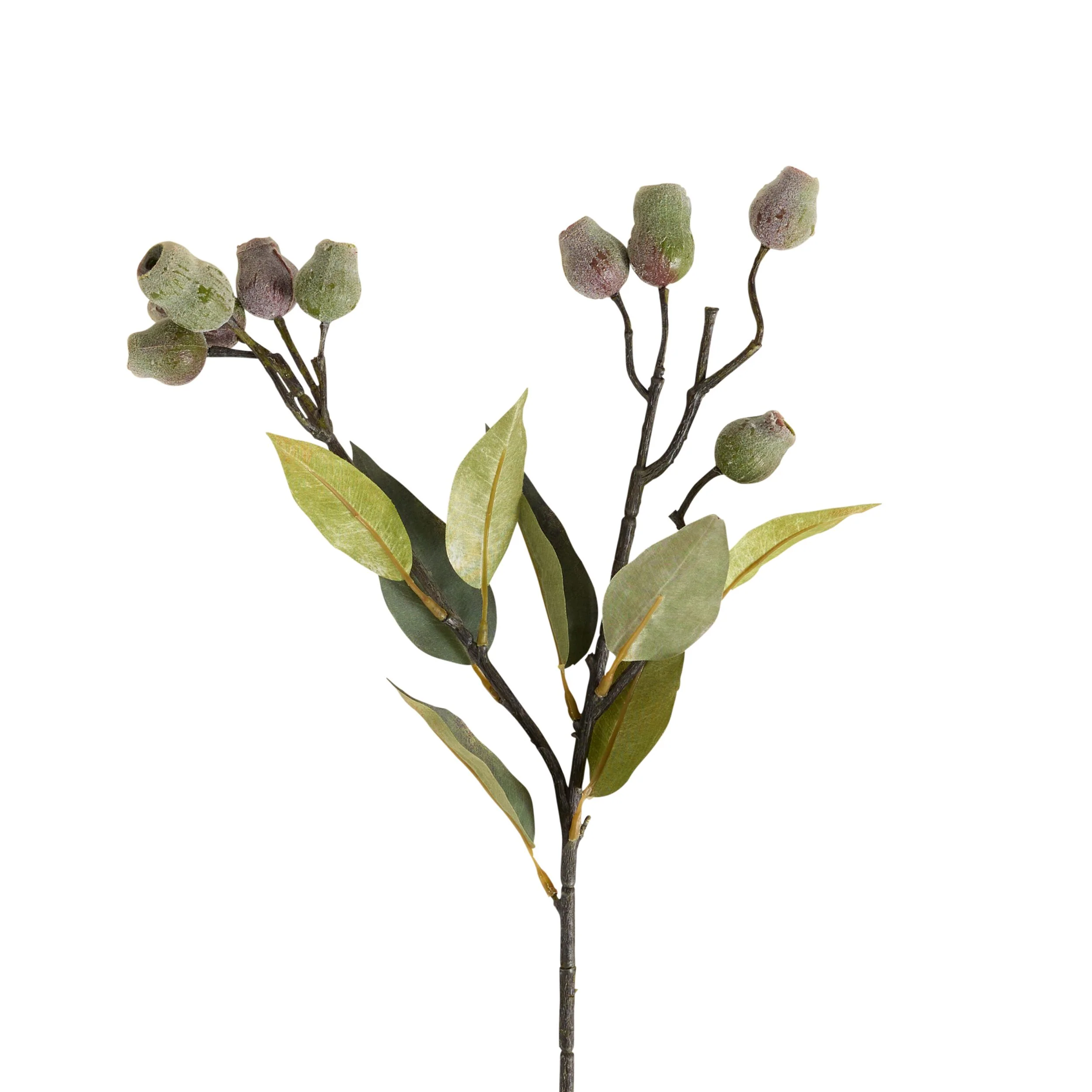 Bloomery Gumnut Stem 73cm - Image 2