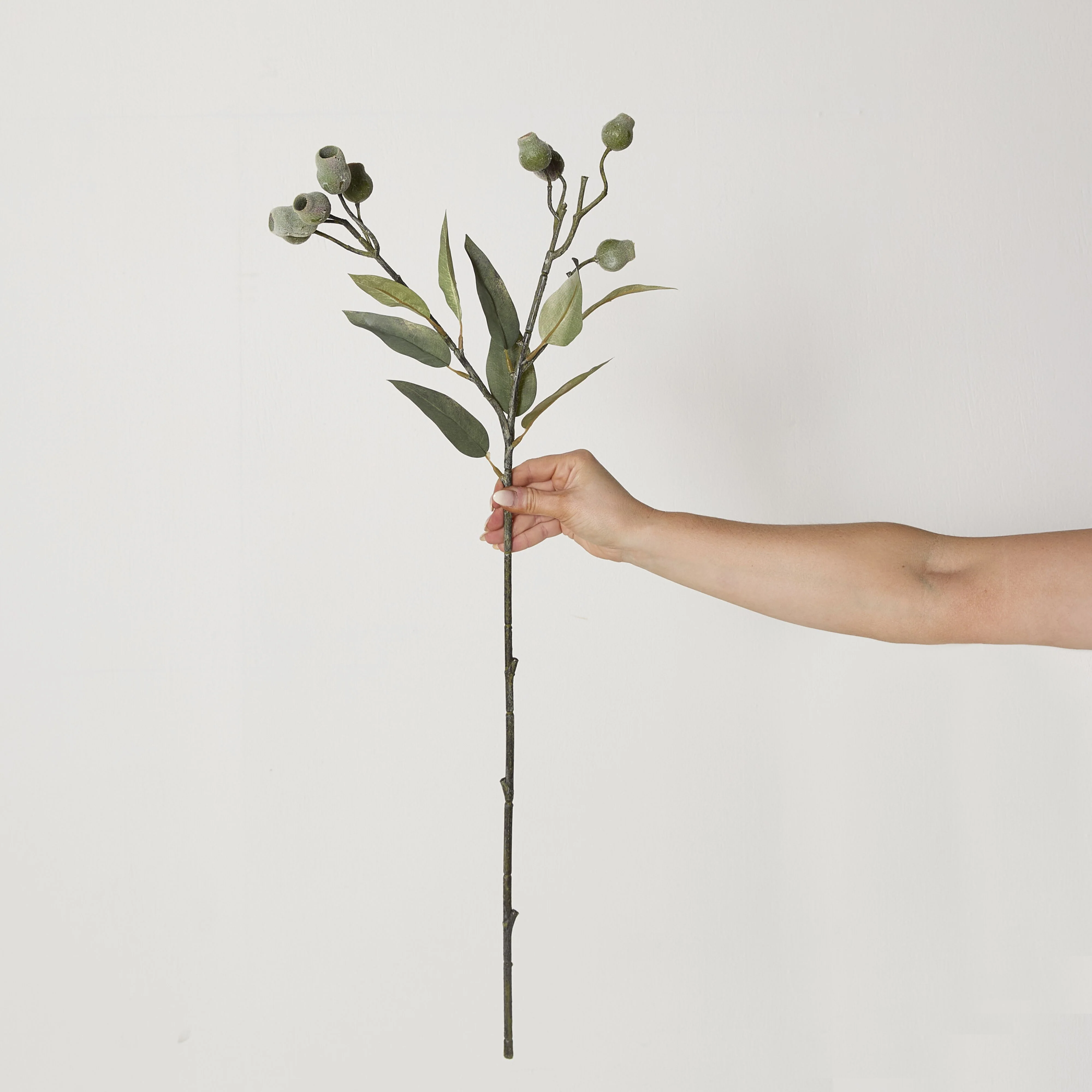 Bloomery Gumnut Stem 73cm - Image 5