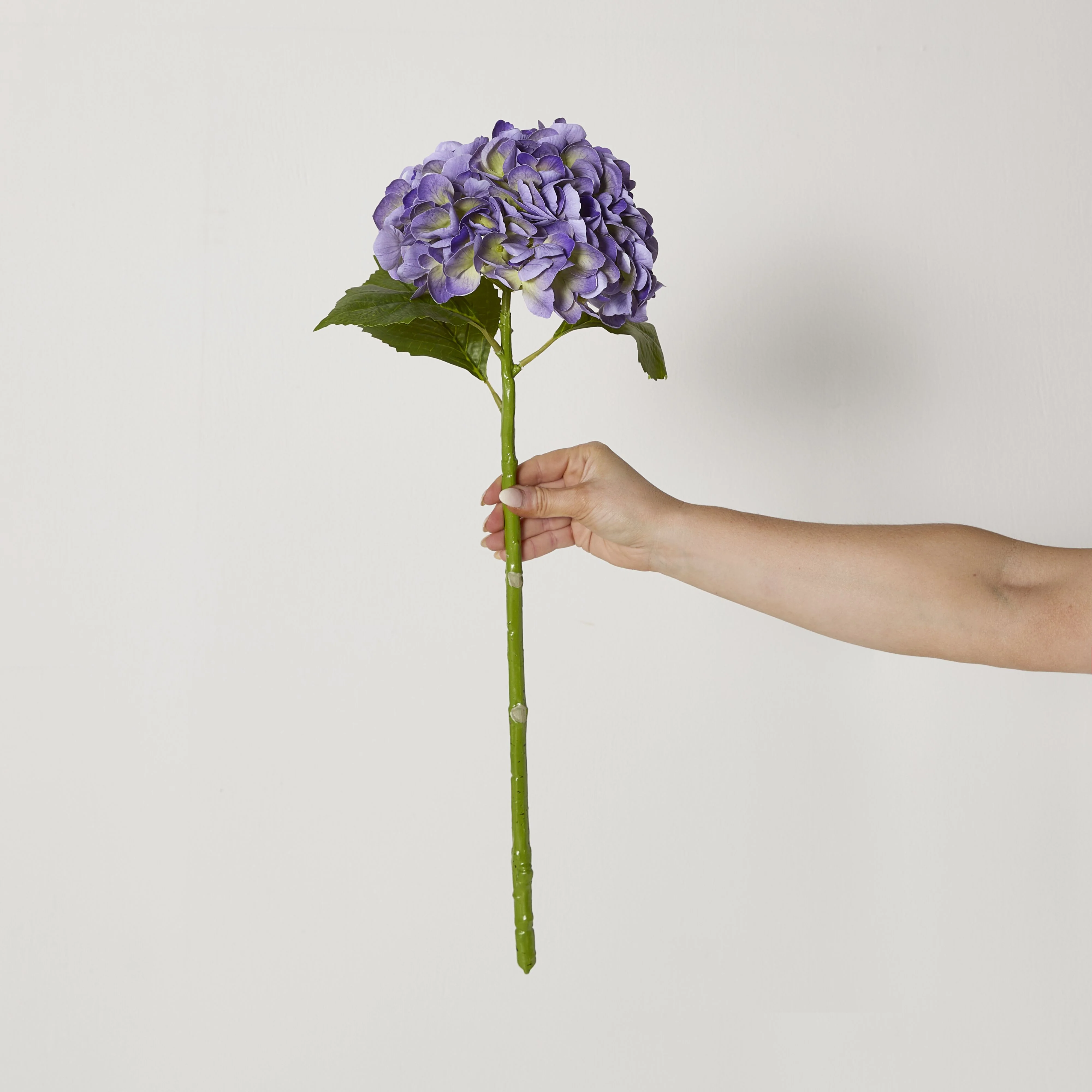 Bloomery Hydrangea Stem Purple 56cm - Image 3