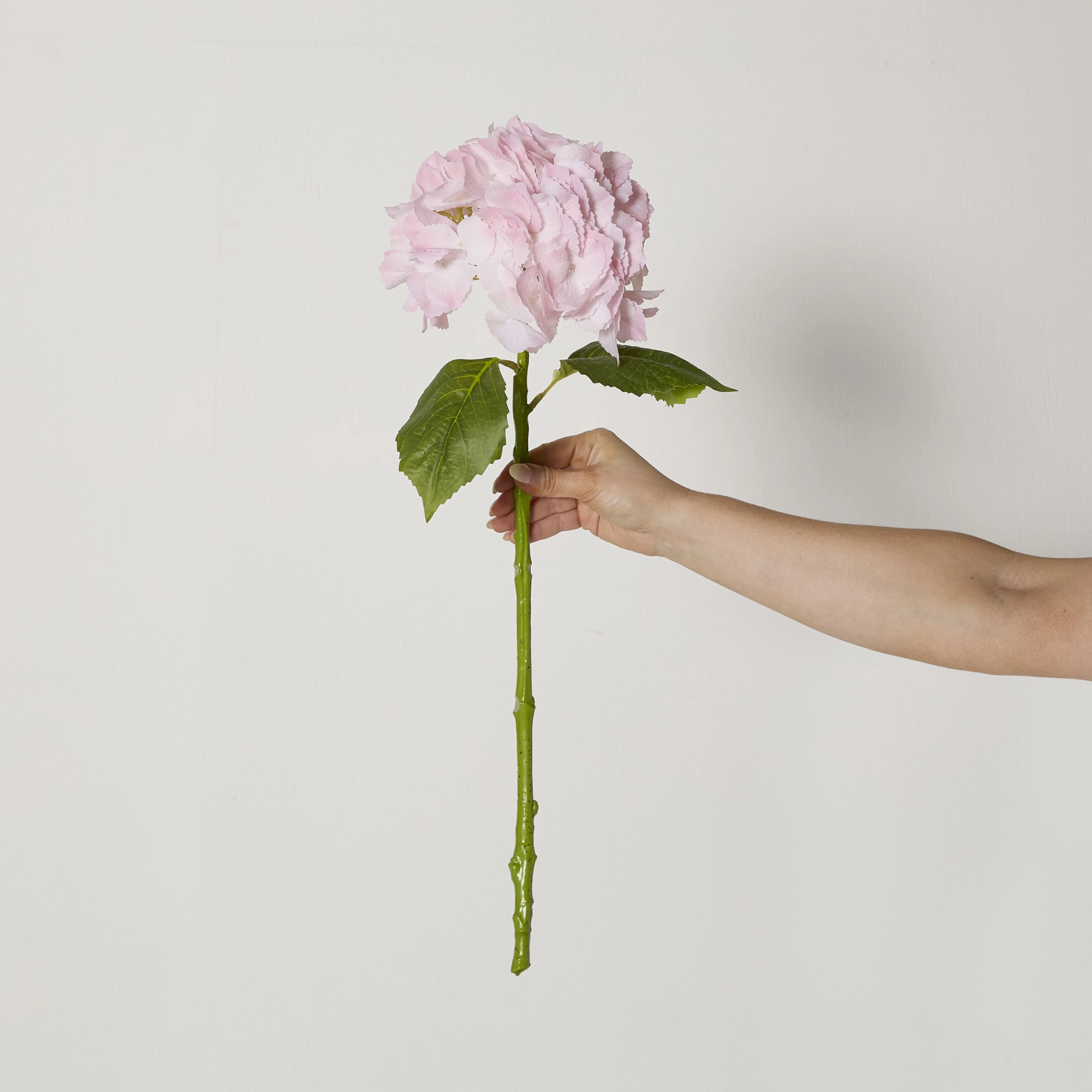 Bloomery Hydrangea Stem Soft Pink 56cm - Image 3