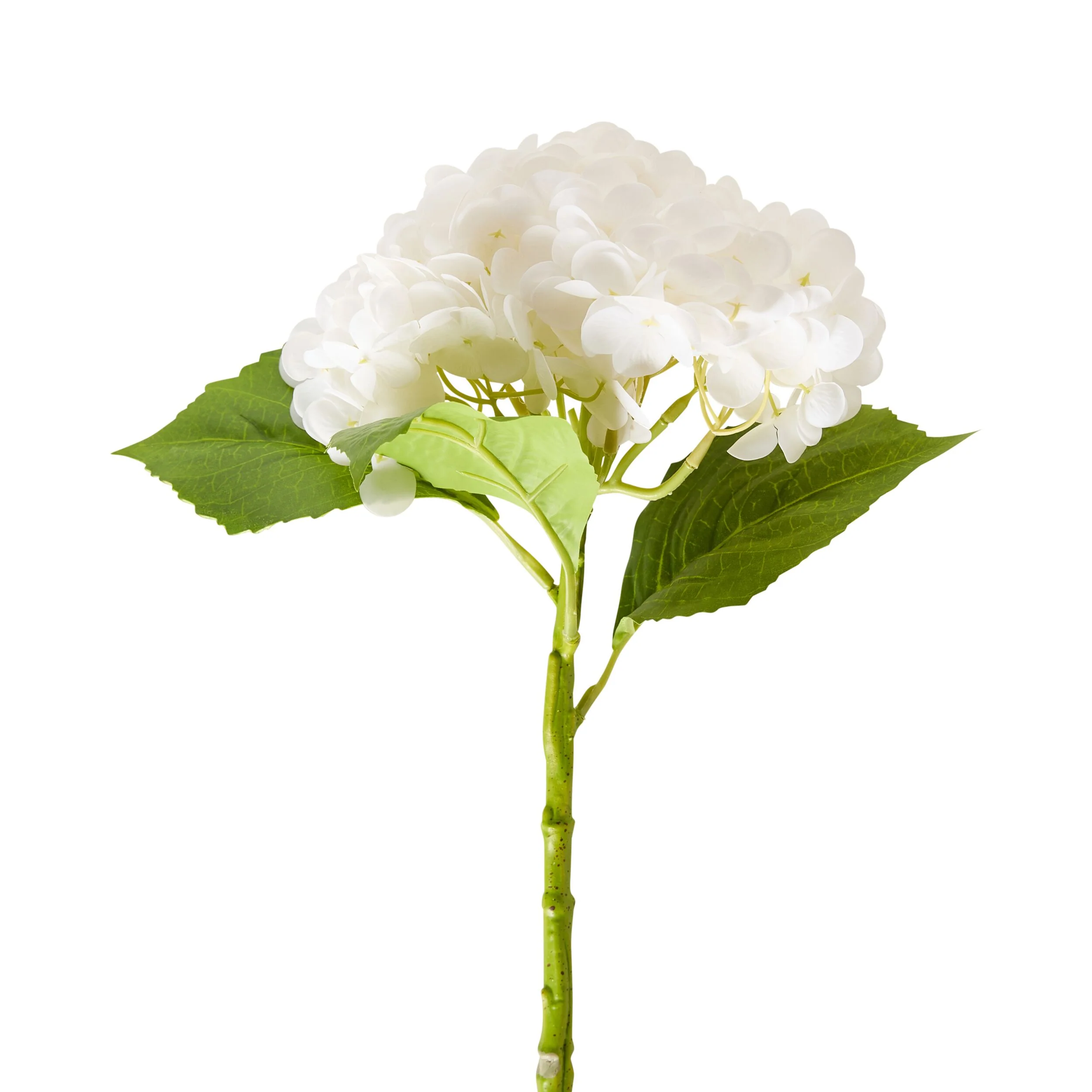 Bloomery Hydrangea Stem White 56cm - Image 2