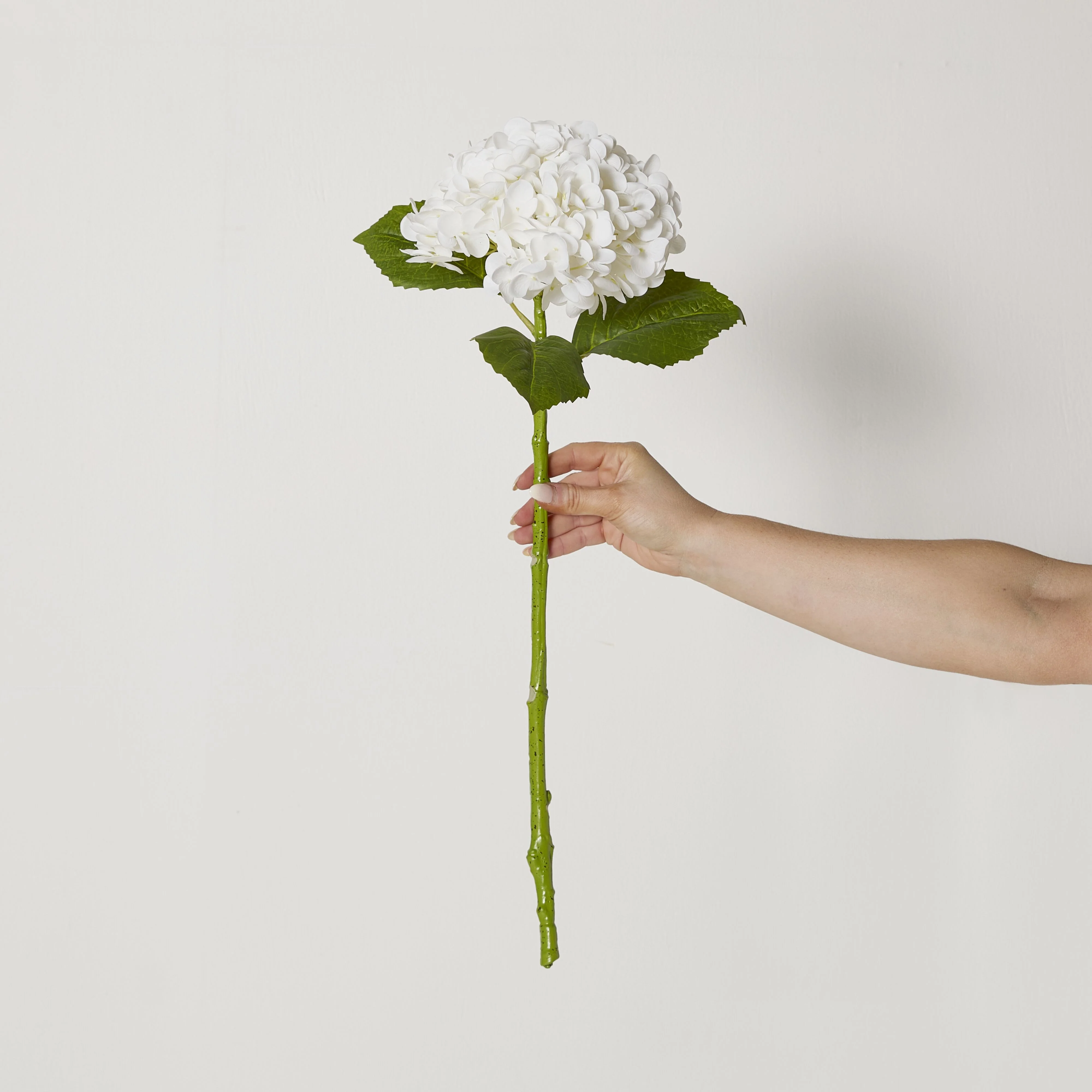 Bloomery Hydrangea Stem White 56cm - Image 3