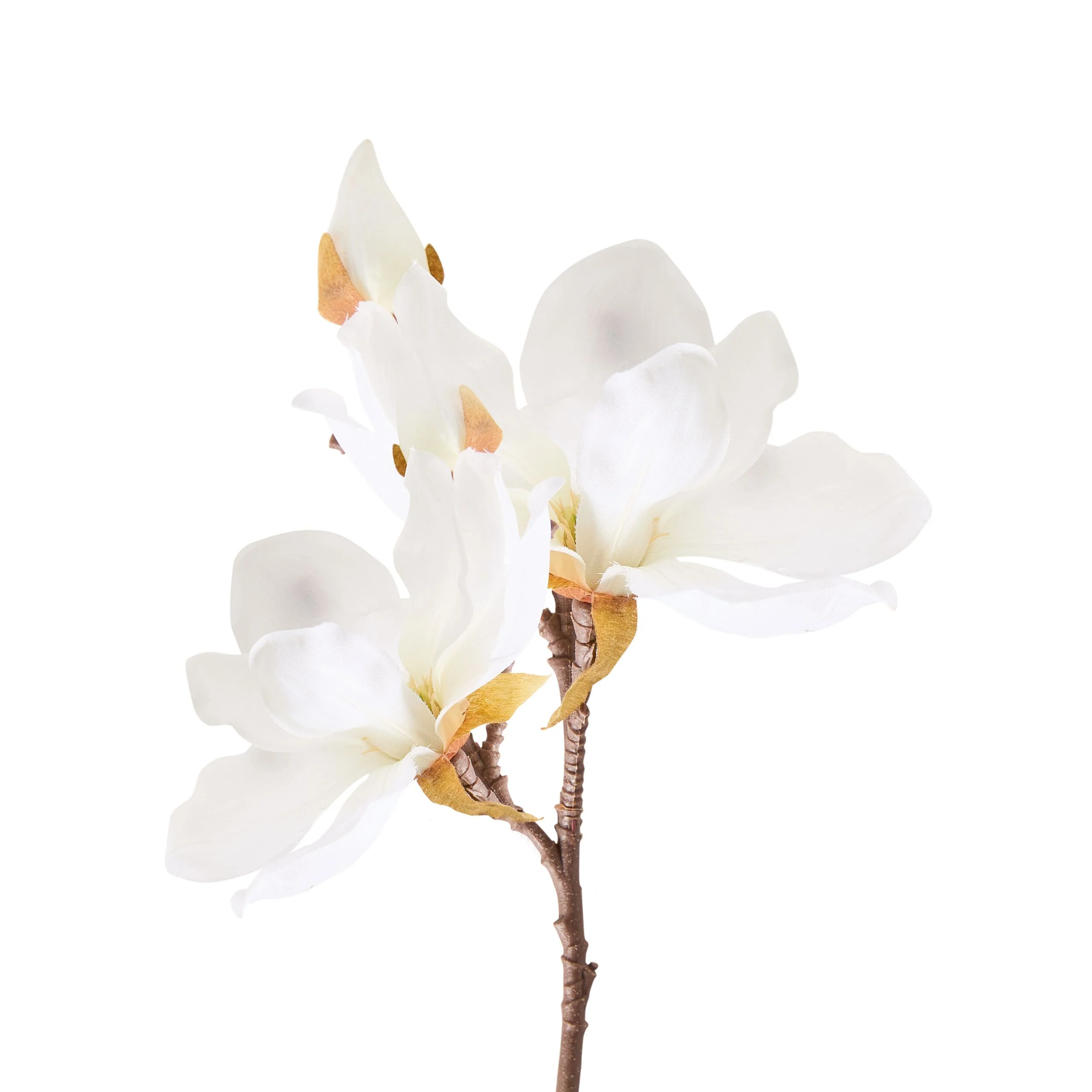 Bloomery Magnolia Stem White 41cm - Image 2