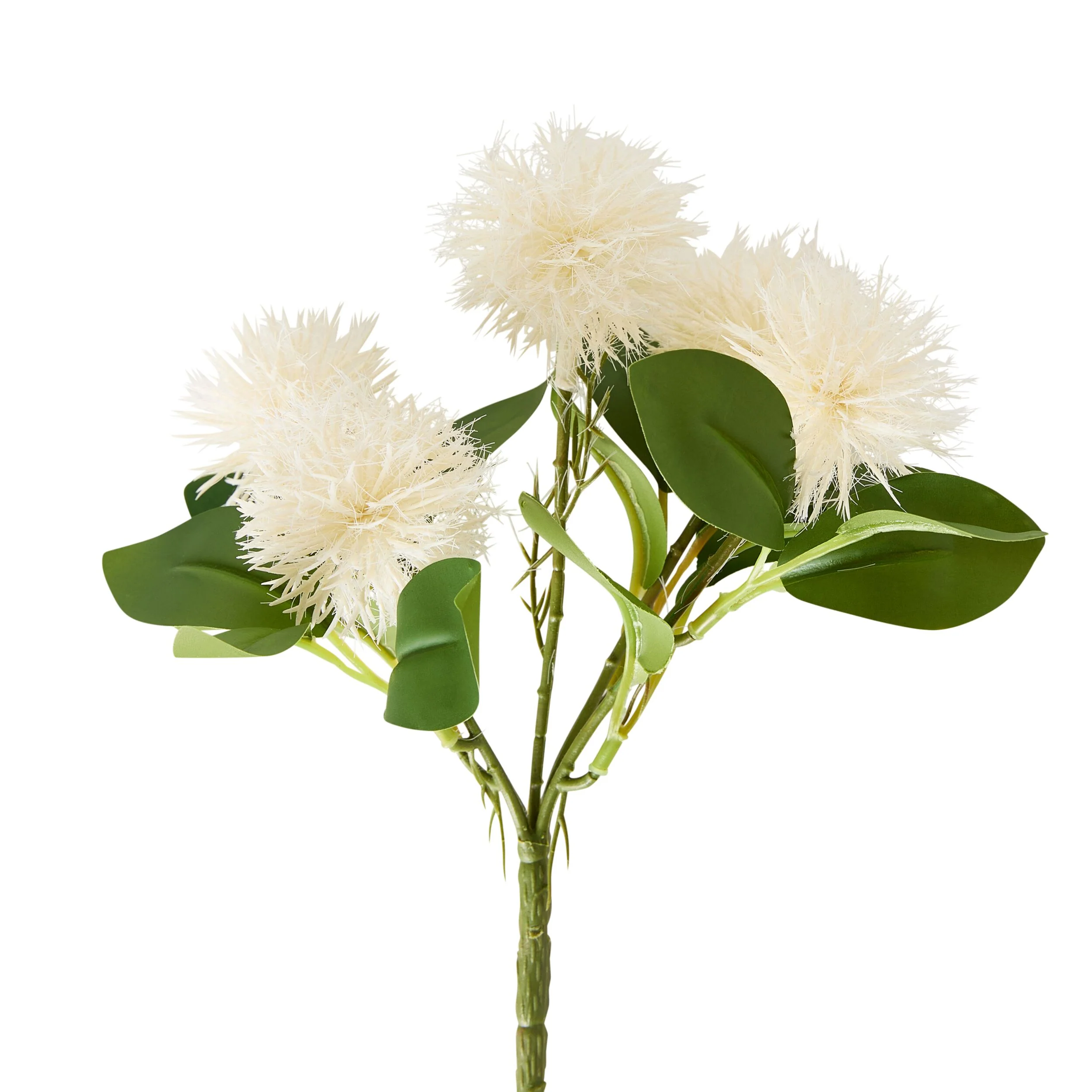 Bloomery Melaleuca Stem 25cm - Image 2