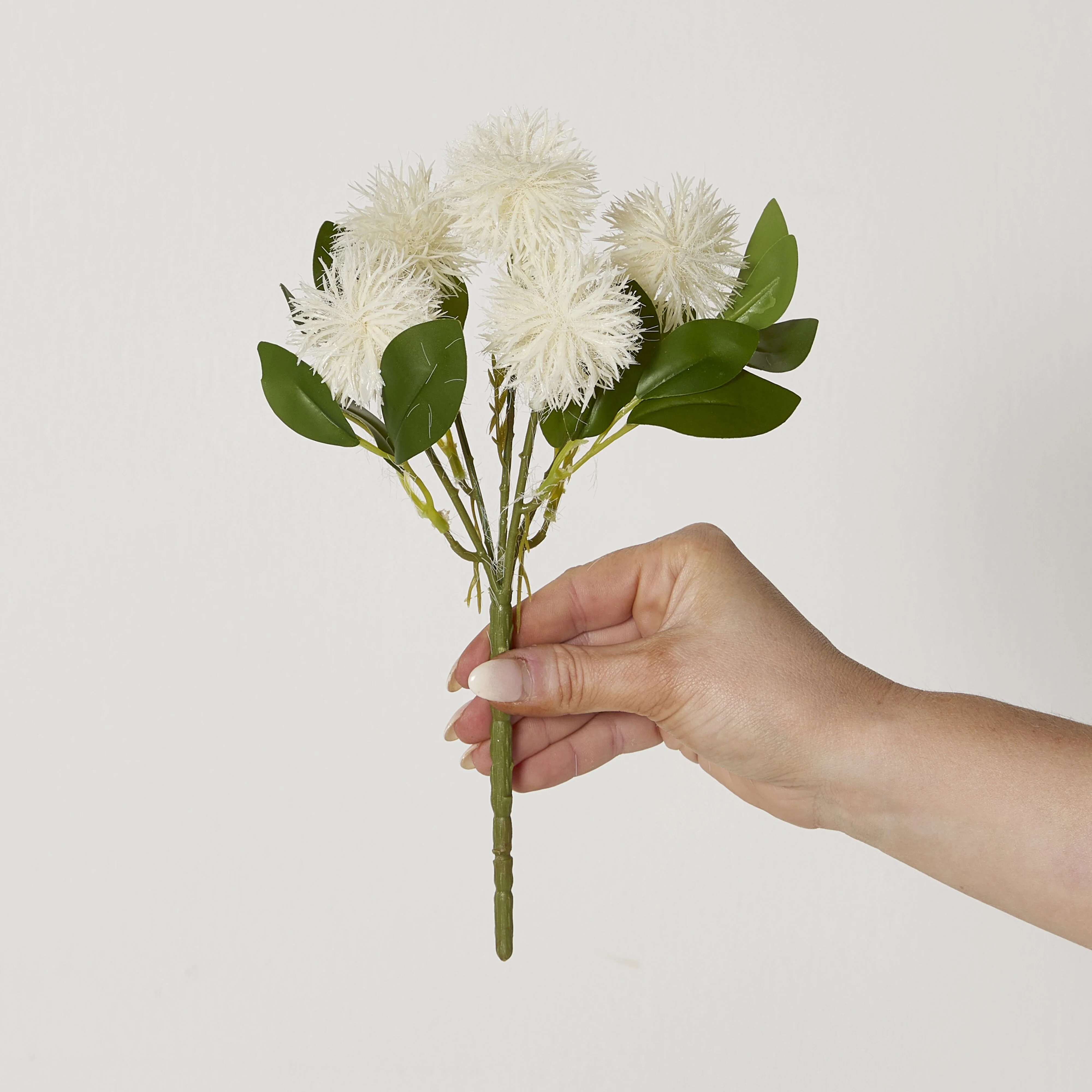 Bloomery Melaleuca Stem 25cm - Image 4