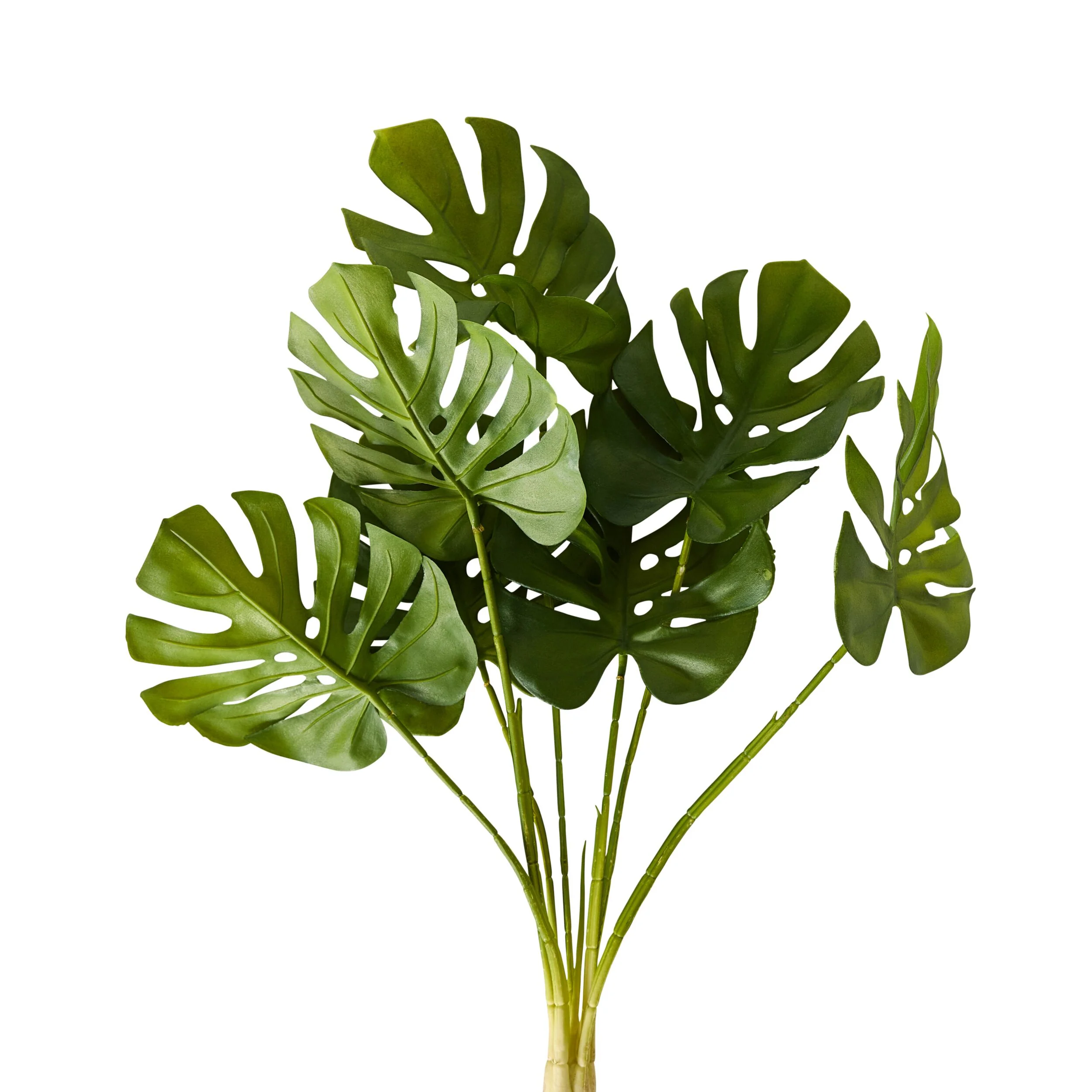 Bloomery Monstera Stem 58cm - Image 2
