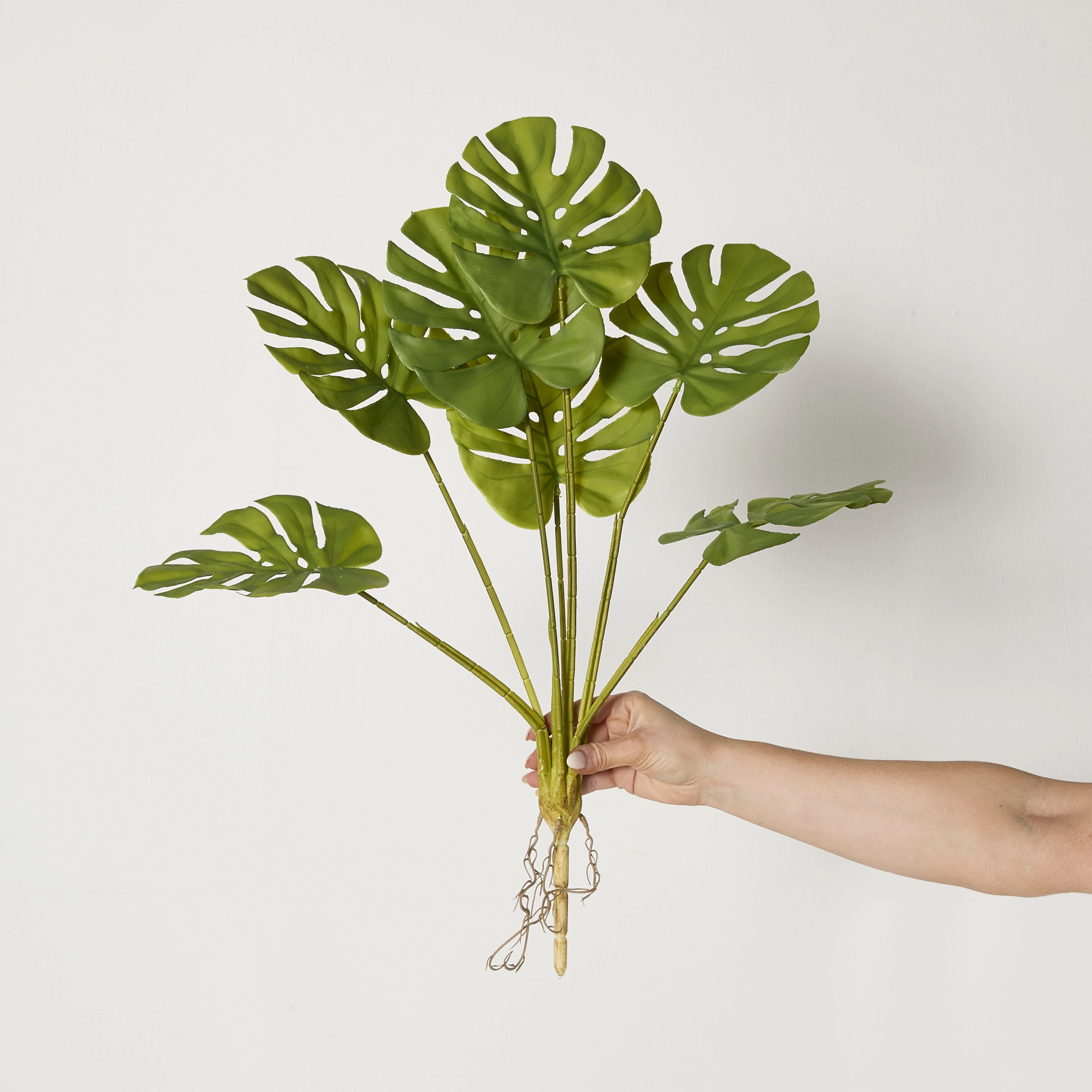 Bloomery Monstera Stem 58cm - Image 4