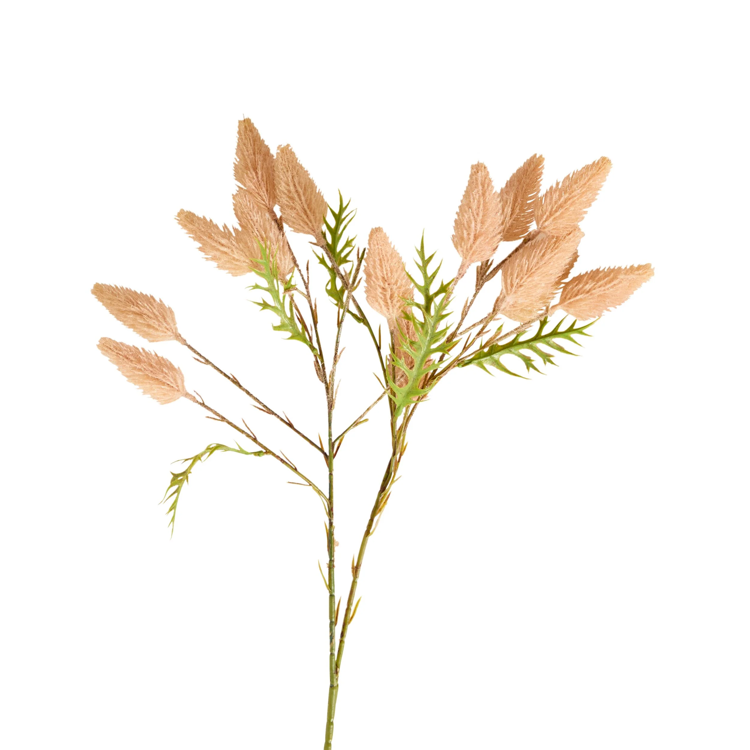 Bloomery Mulla Mulla Stem Pink 71cm - Image 2