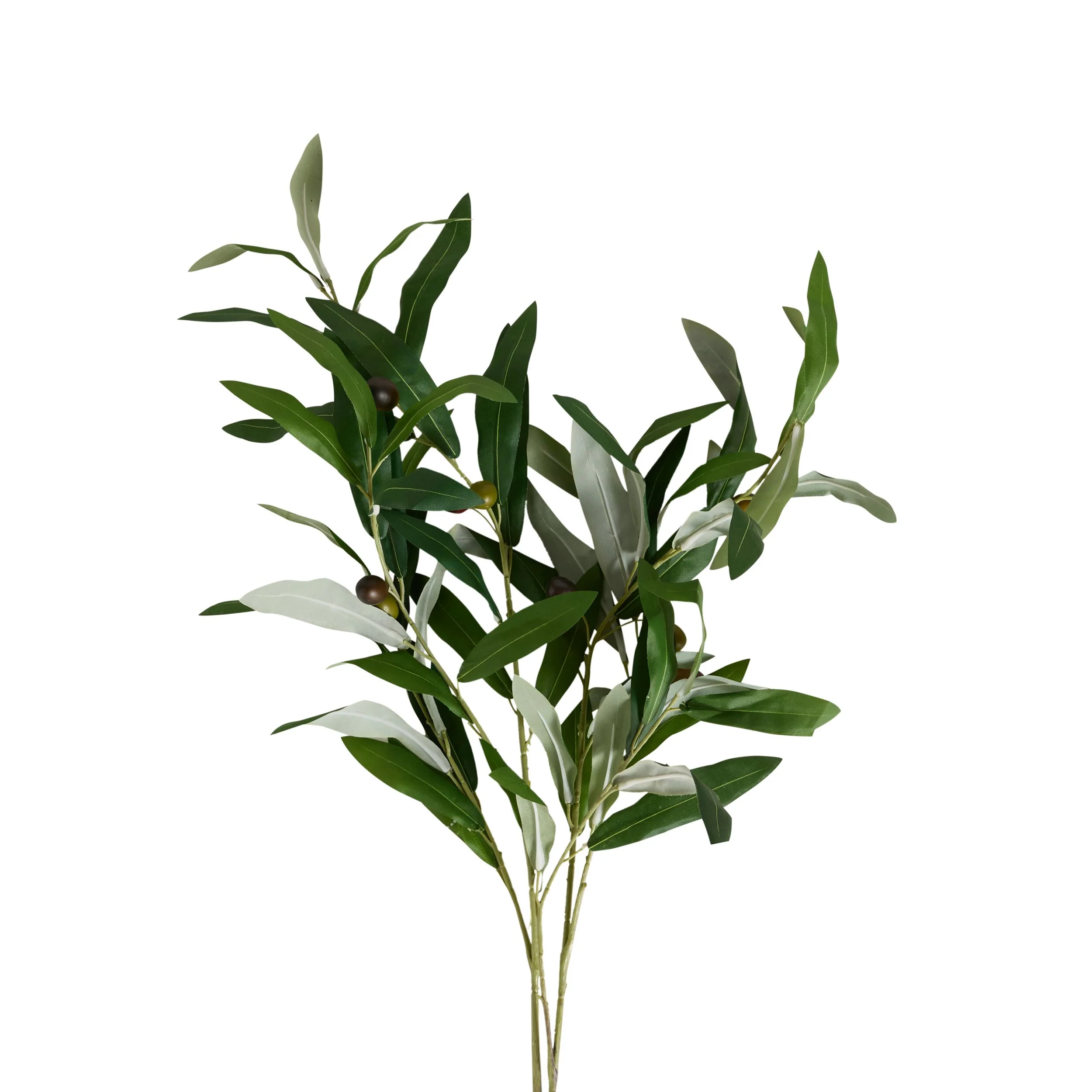 Bloomery Olive Branch Stem 85cm - Image 2