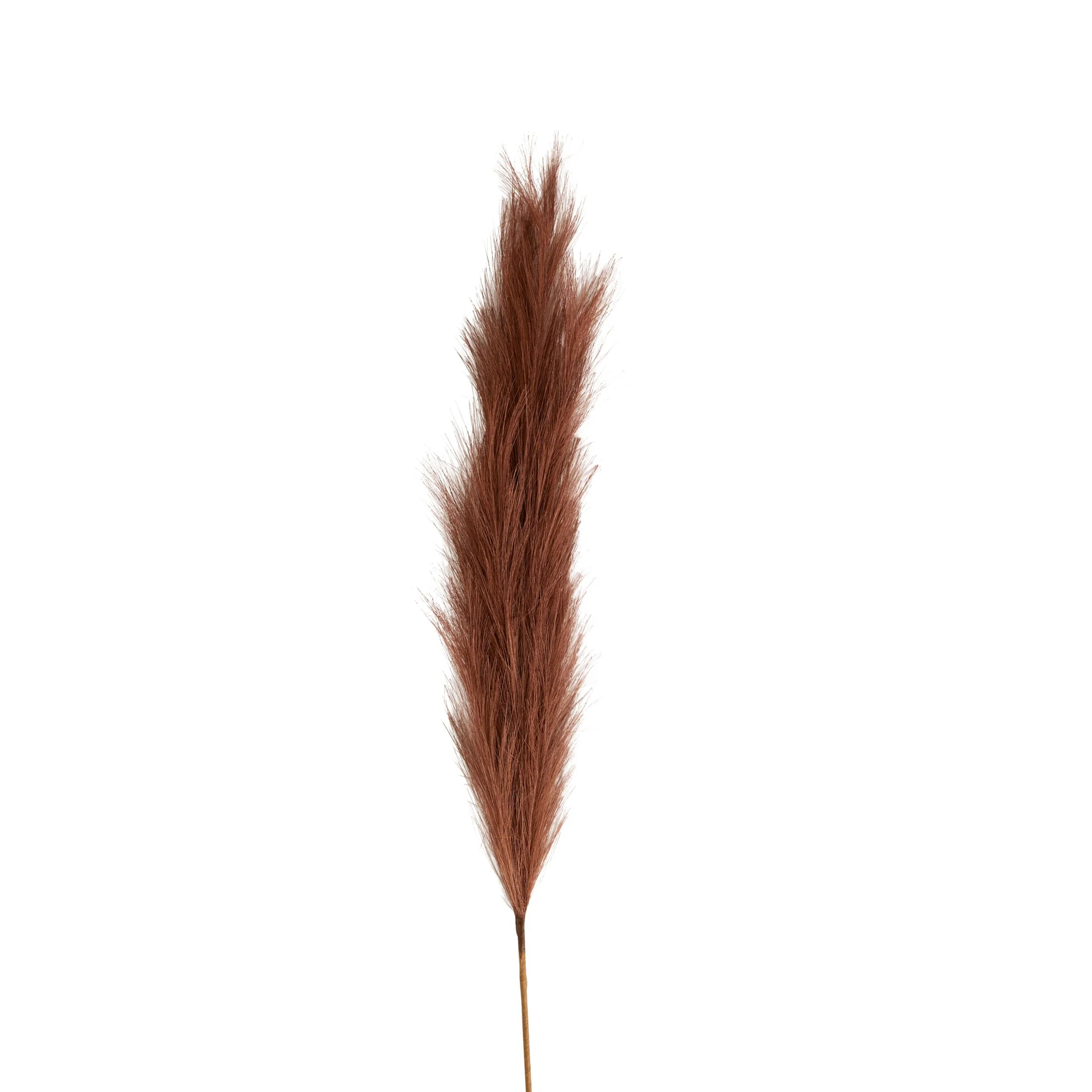 Bloomery Pampas Grass Stem Auburn 114cm - Image 2