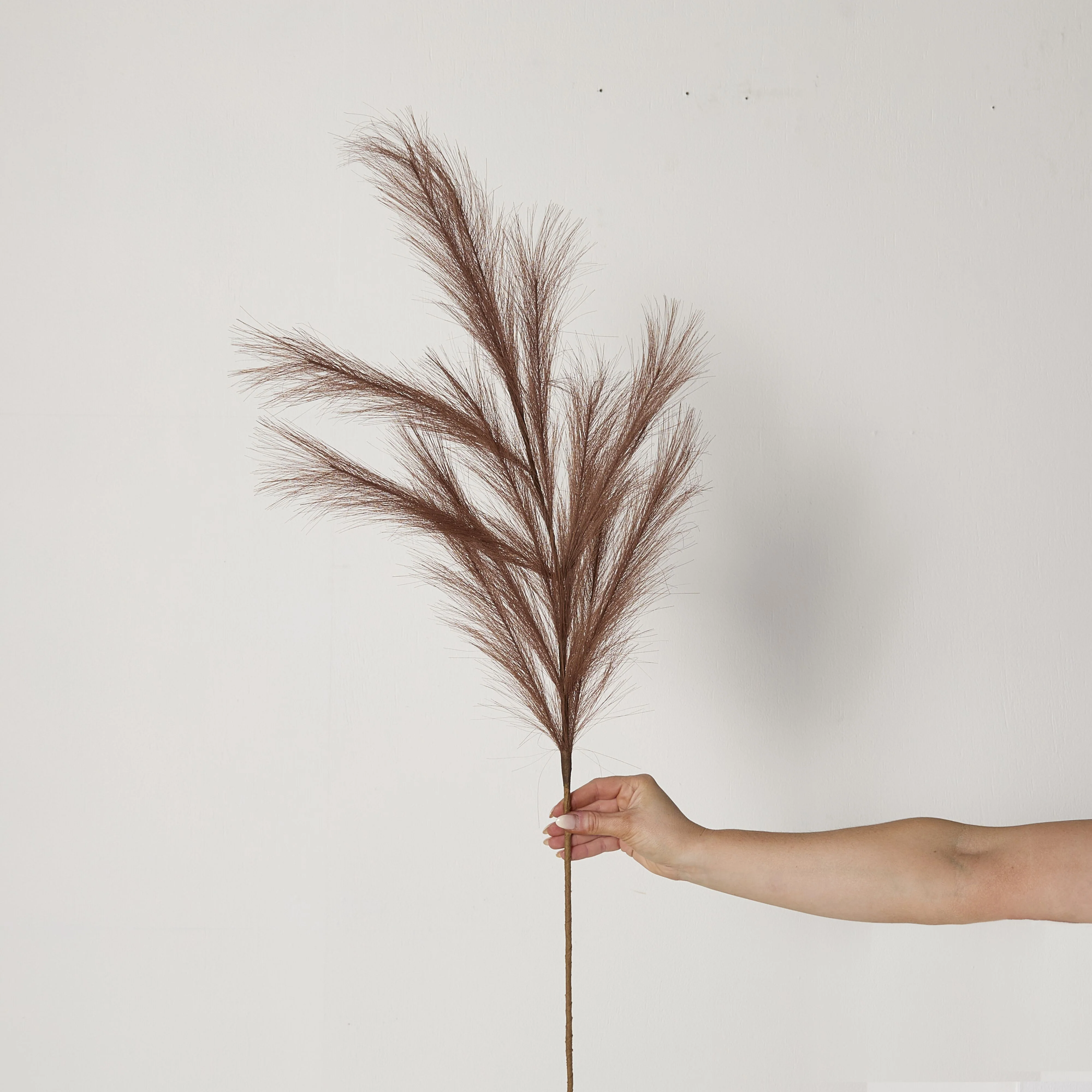 Bloomery Pampas Grass Stem Auburn 114cm - Image 3