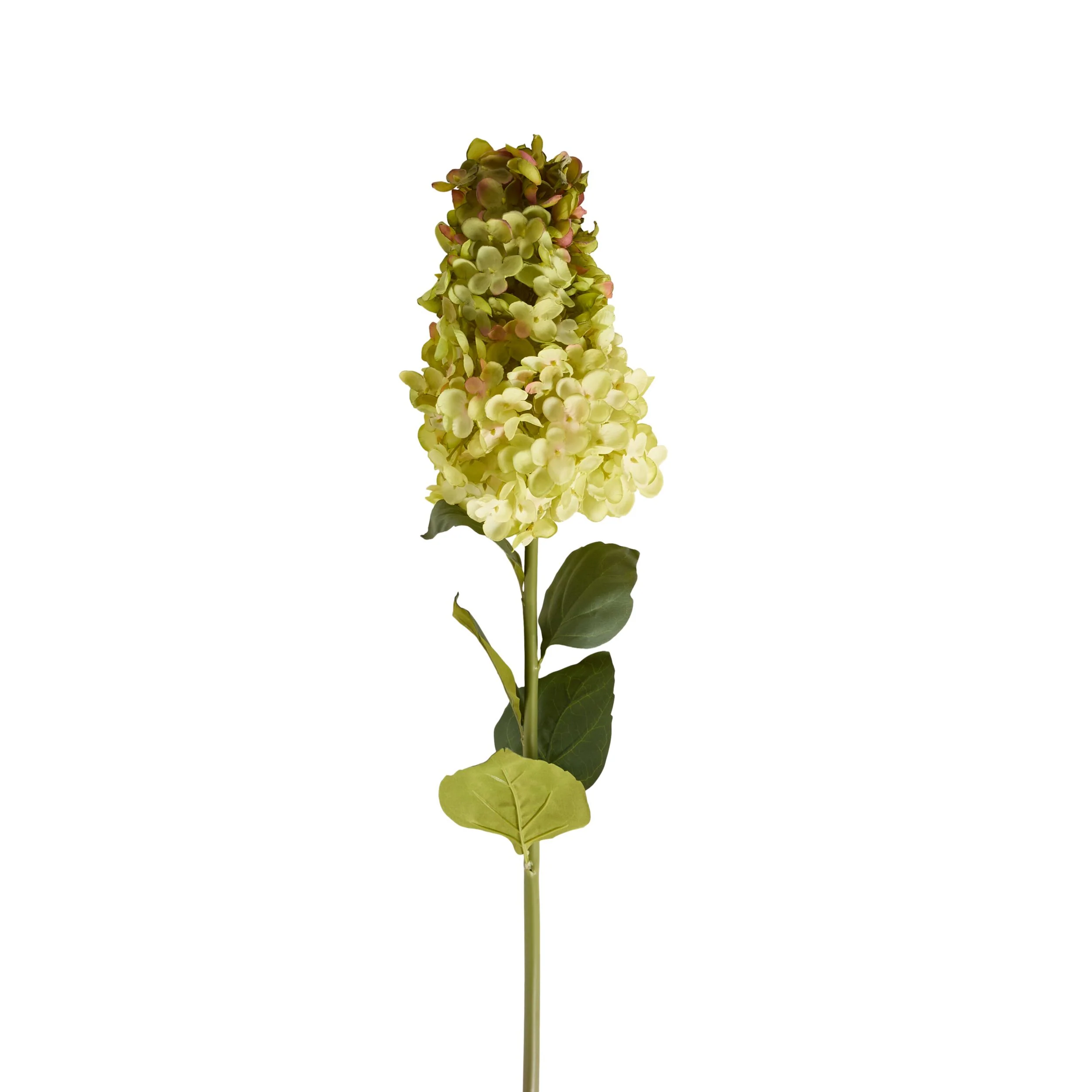 Bloomery Panicle Hydrangea Stem Green 95cm - Image 2