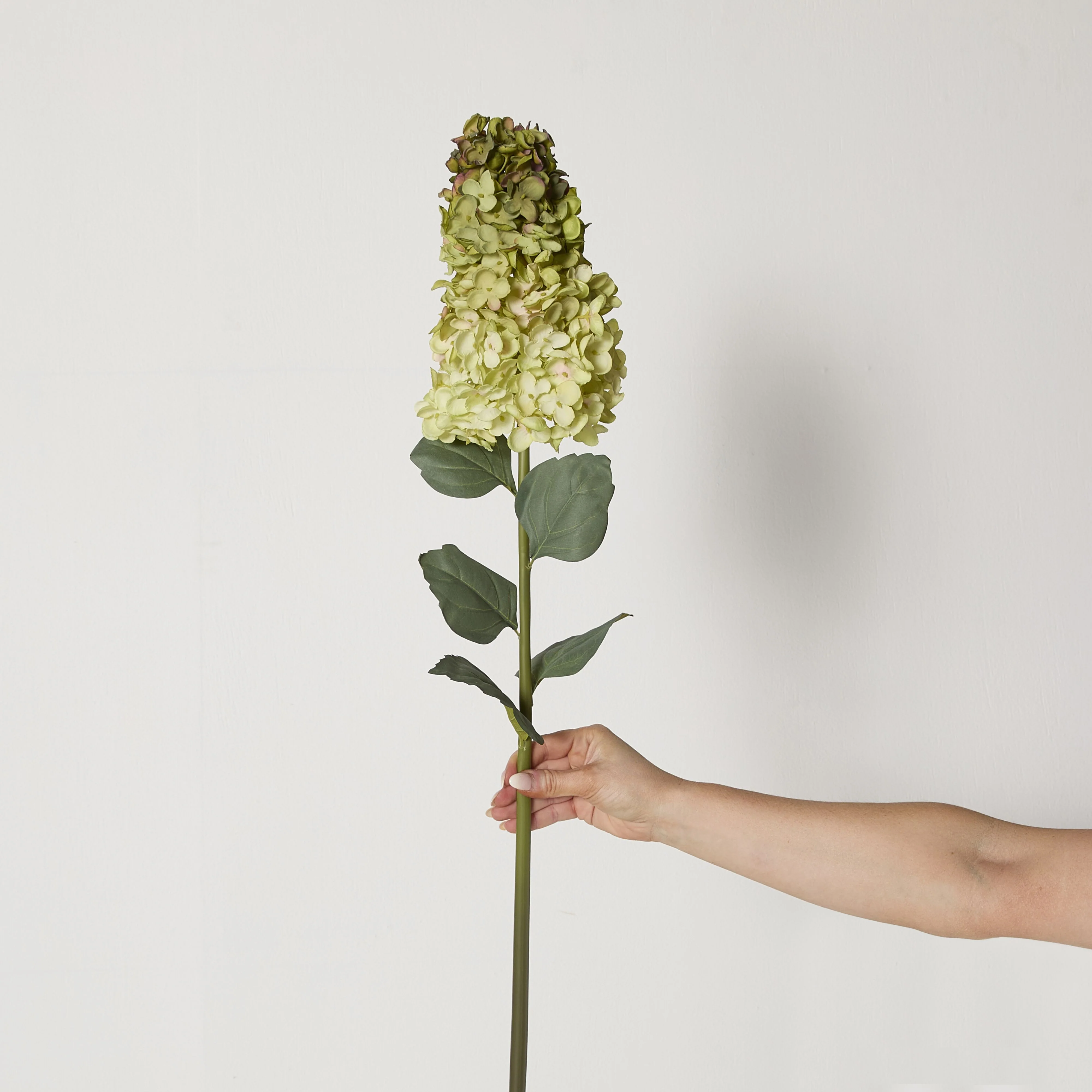 Bloomery Panicle Hydrangea Stem Green 95cm - Image 3