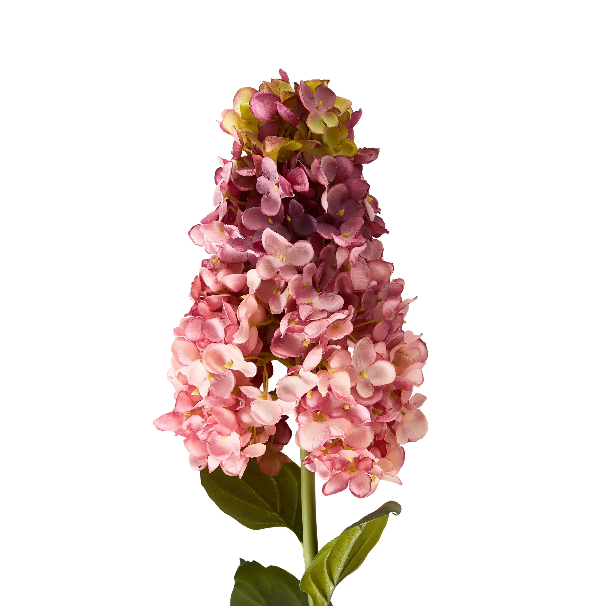 Bloomery Panicle Hydrangea Stem Mauve 95cm - Image 2