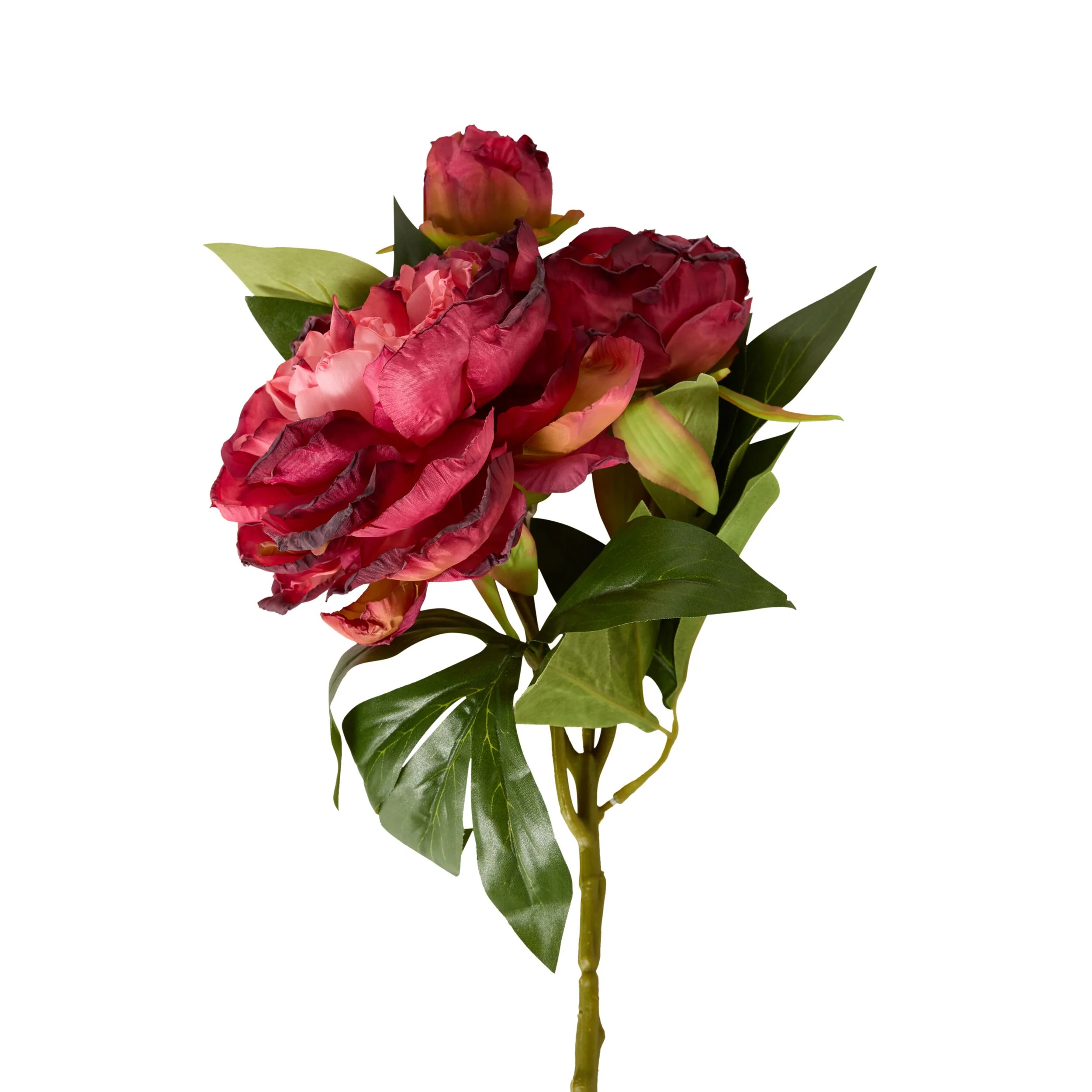 Bloomery Peony Stem Plum 61cm - Image 2