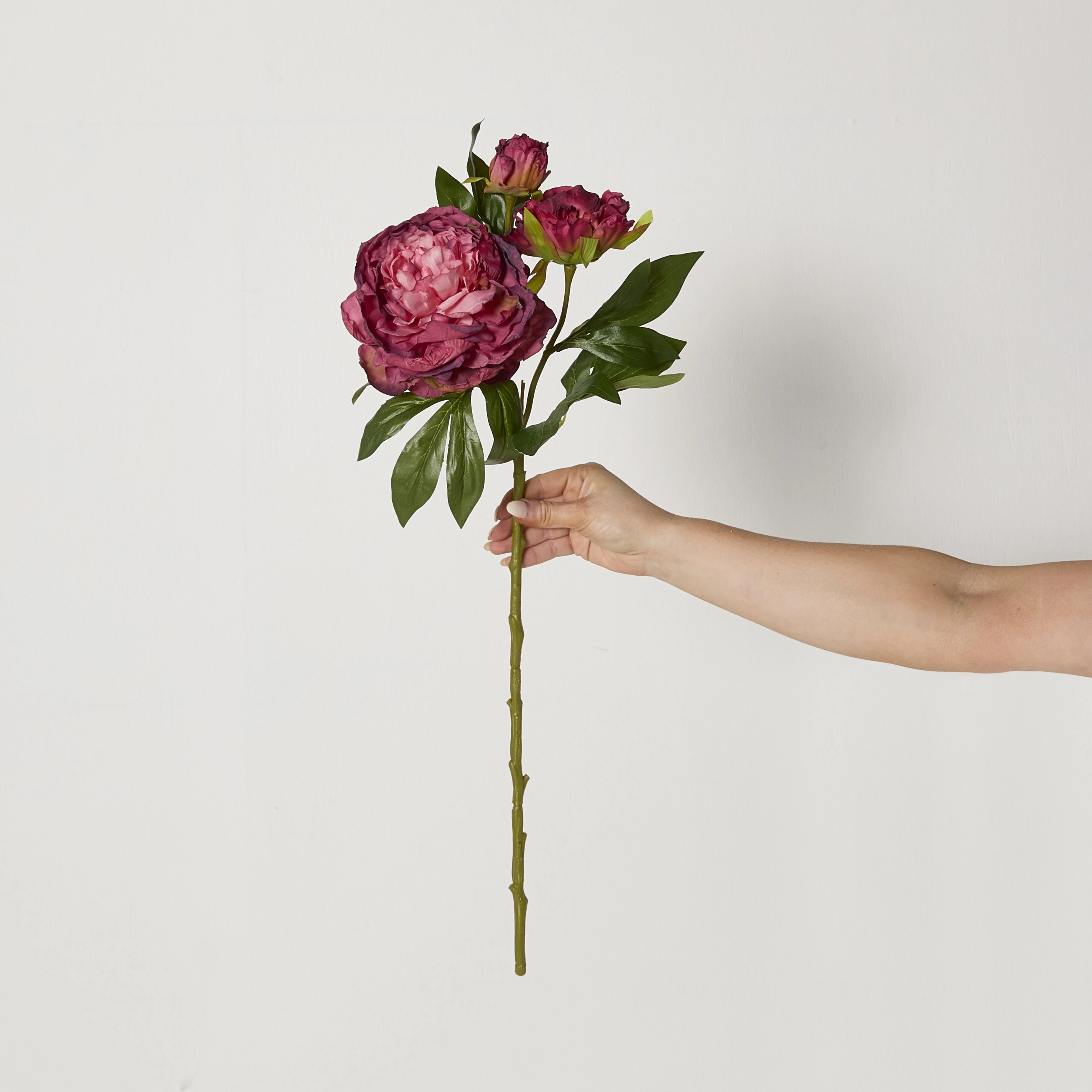 Bloomery Peony Stem Plum 61cm - Image 4