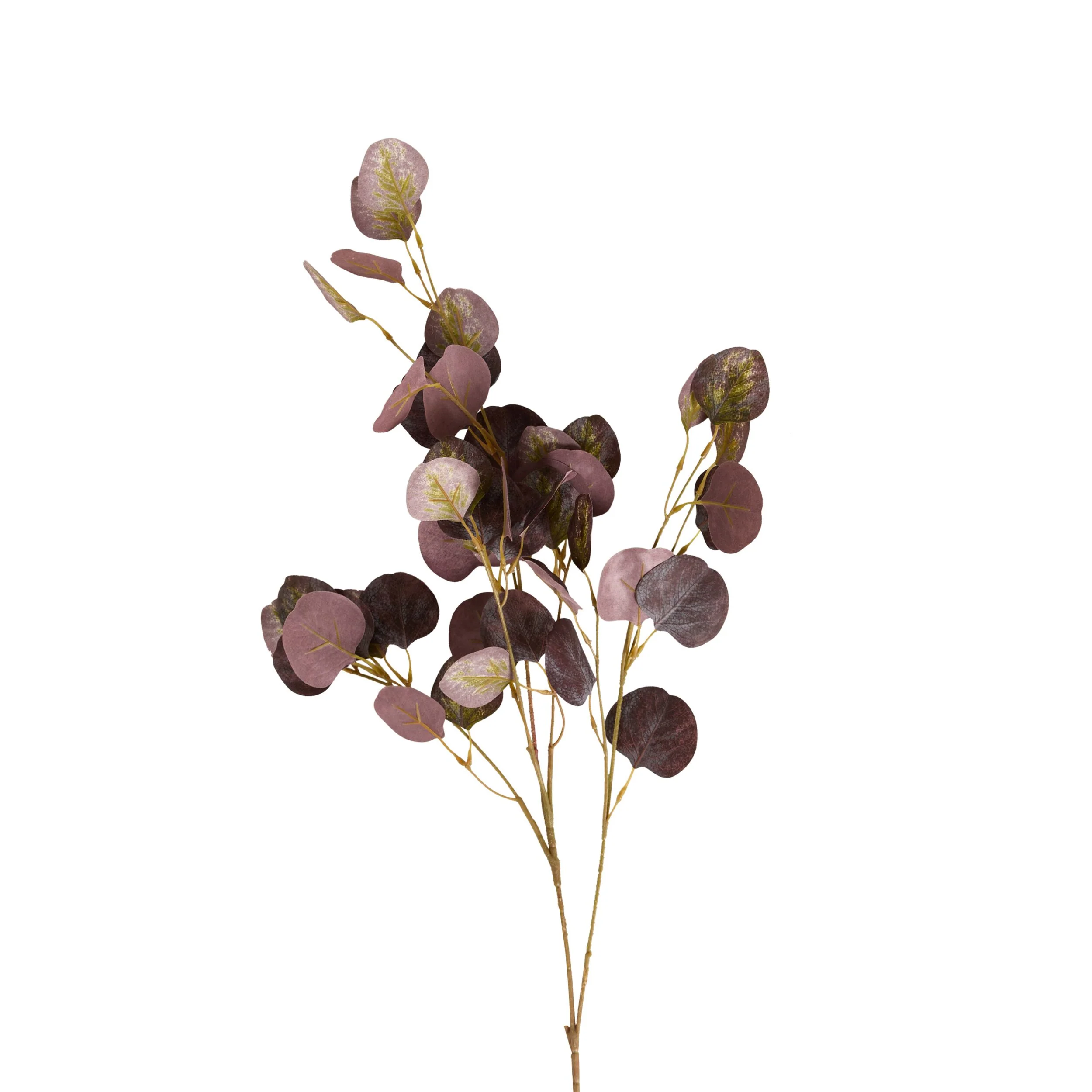 Bloomery Plum Eucalyptus Stem 102cm - Image 2