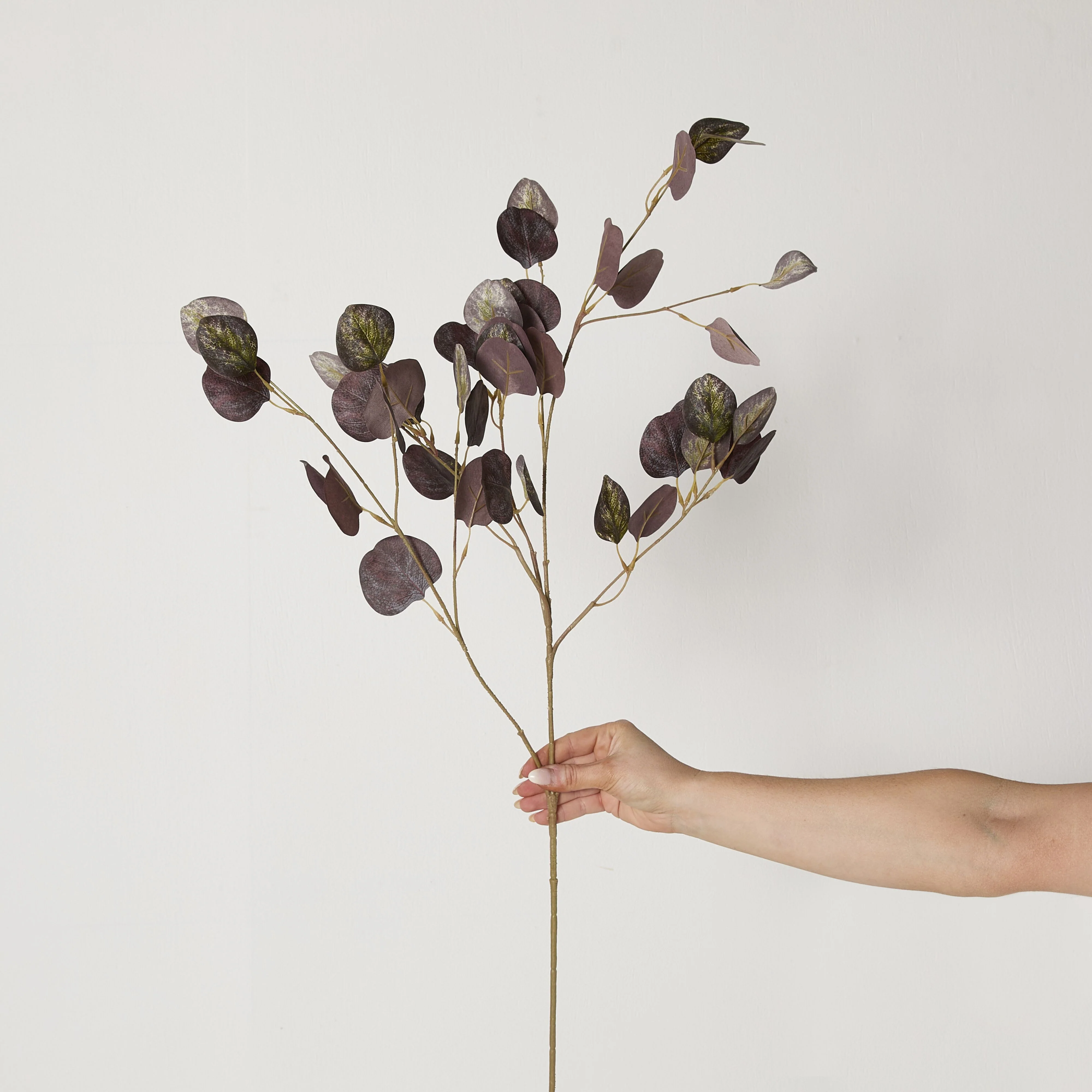 Bloomery Plum Eucalyptus Stem 102cm - Image 4