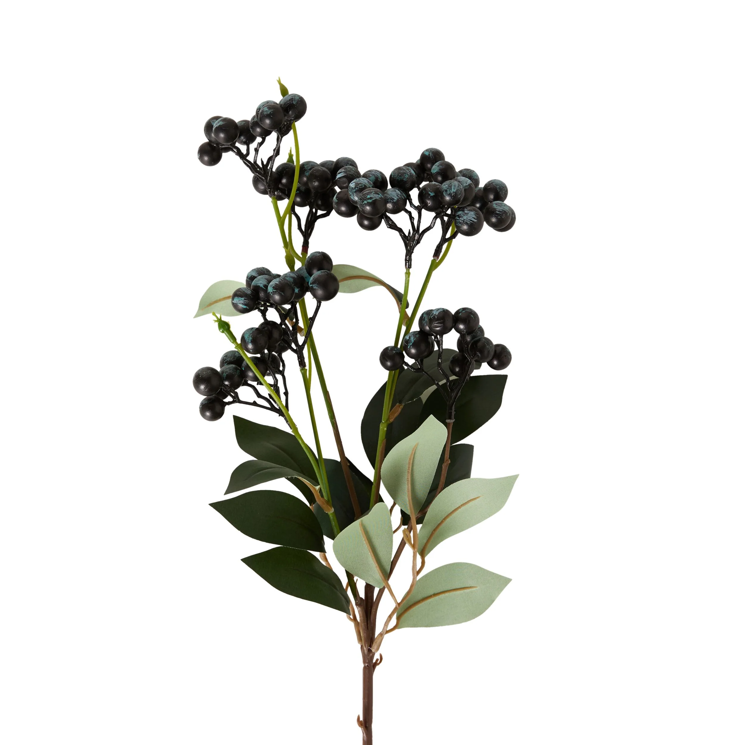 Bloomery Privet Berry Stem 69cm - Image 2