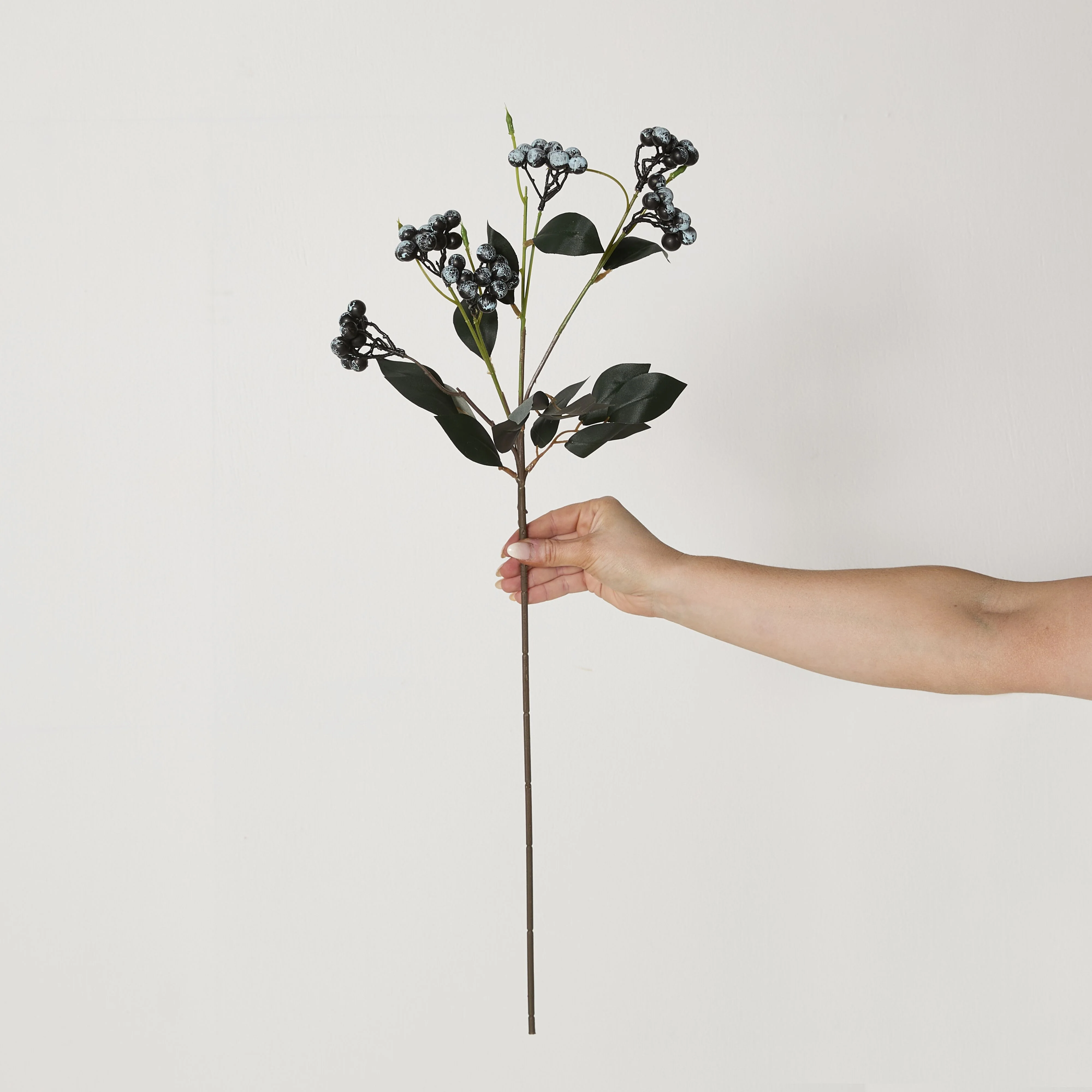 Bloomery Privet Berry Stem 69cm - Image 4