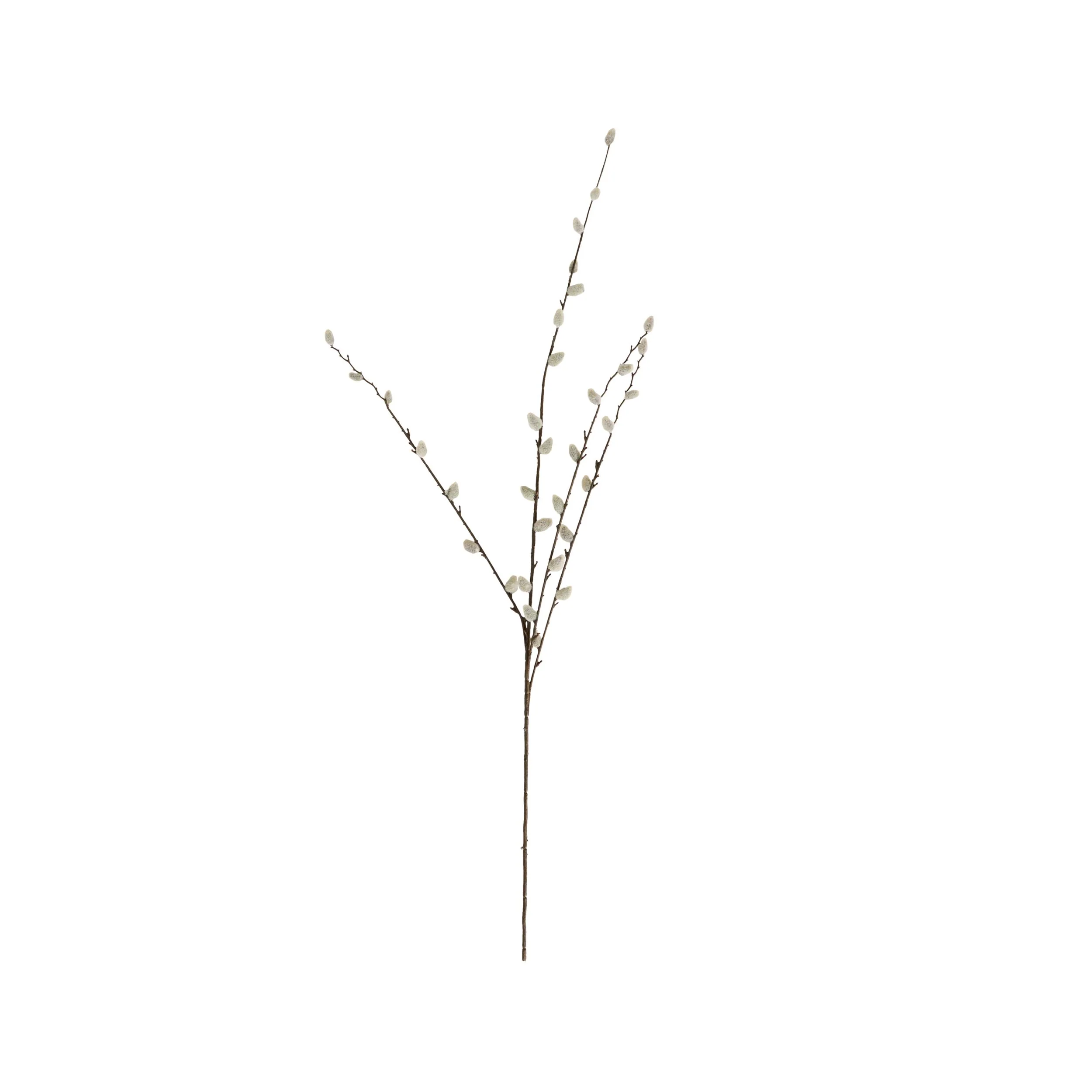 Bloomery Pussy Willow Stem 95cm