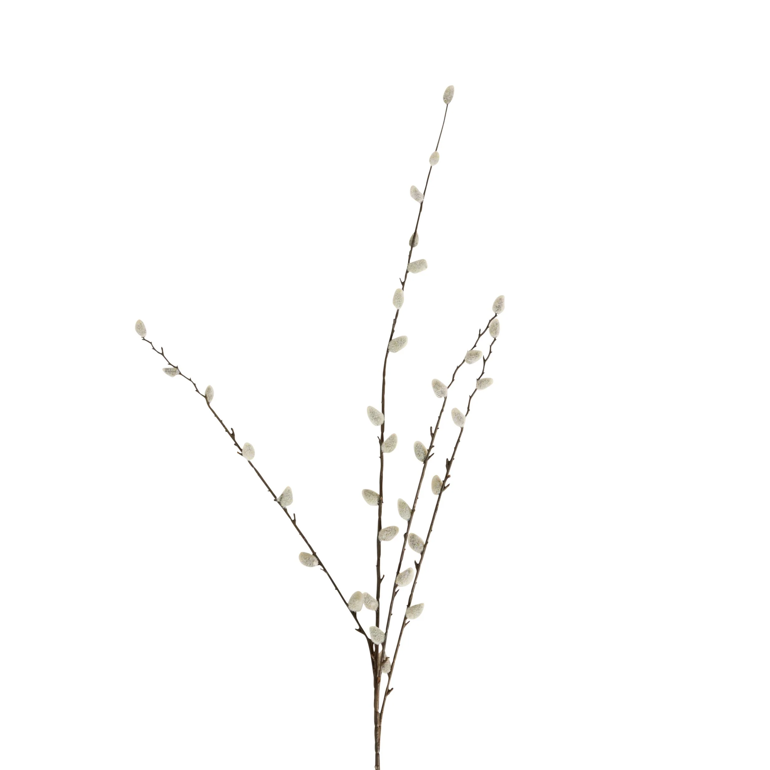 Bloomery Pussy Willow Stem 95cm - Image 2