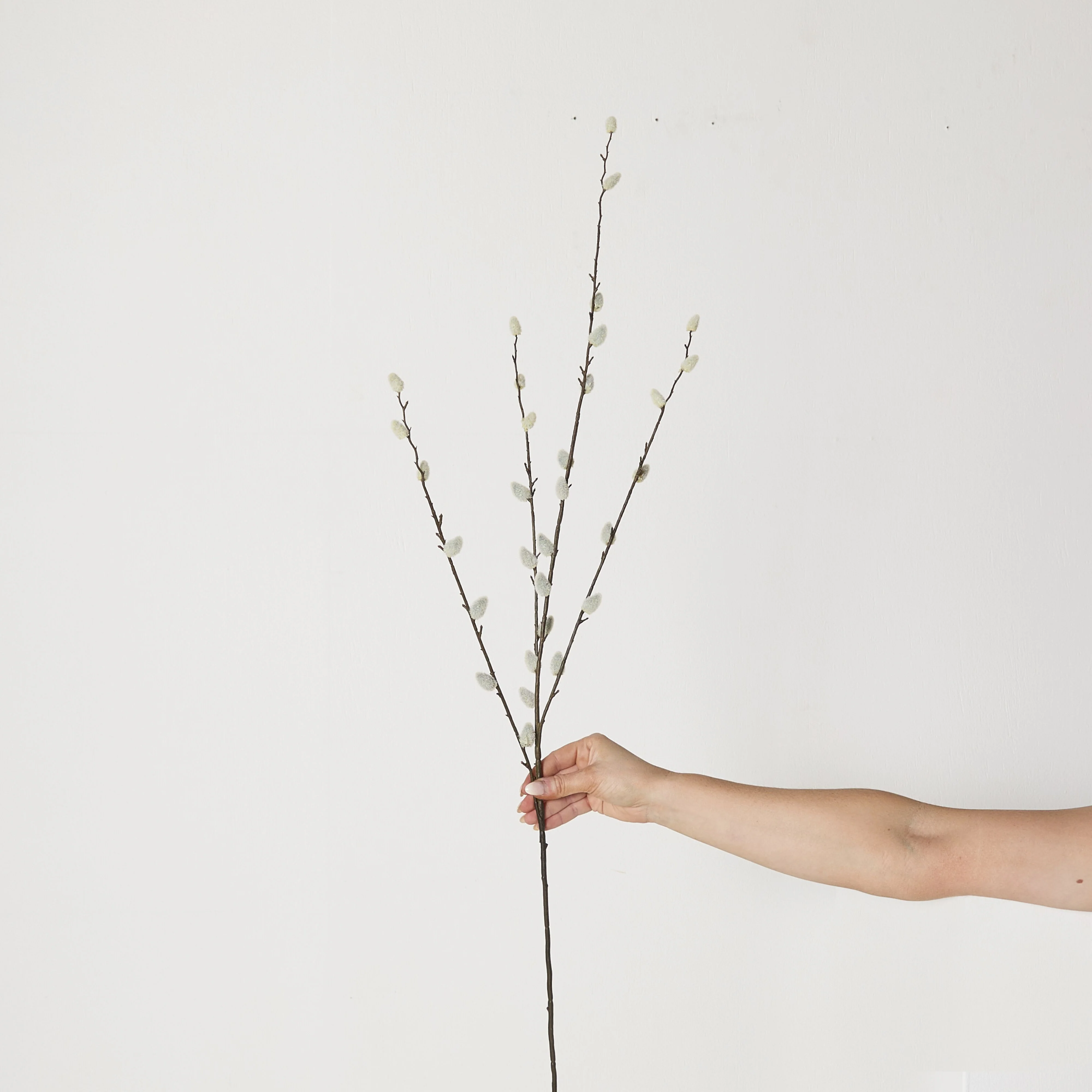 Bloomery Pussy Willow Stem 95cm - Image 4